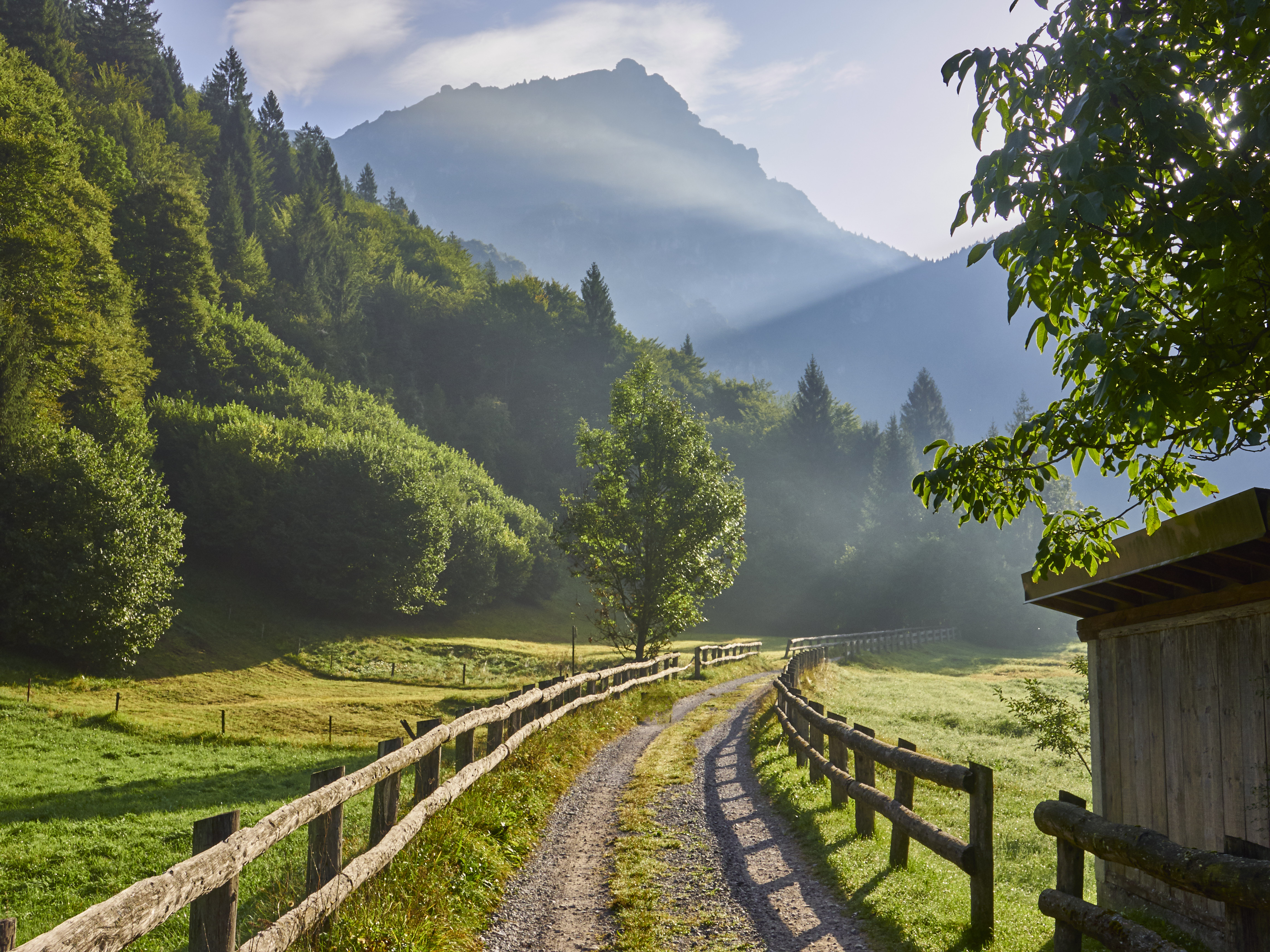 Ledrosee 17 09 19 39