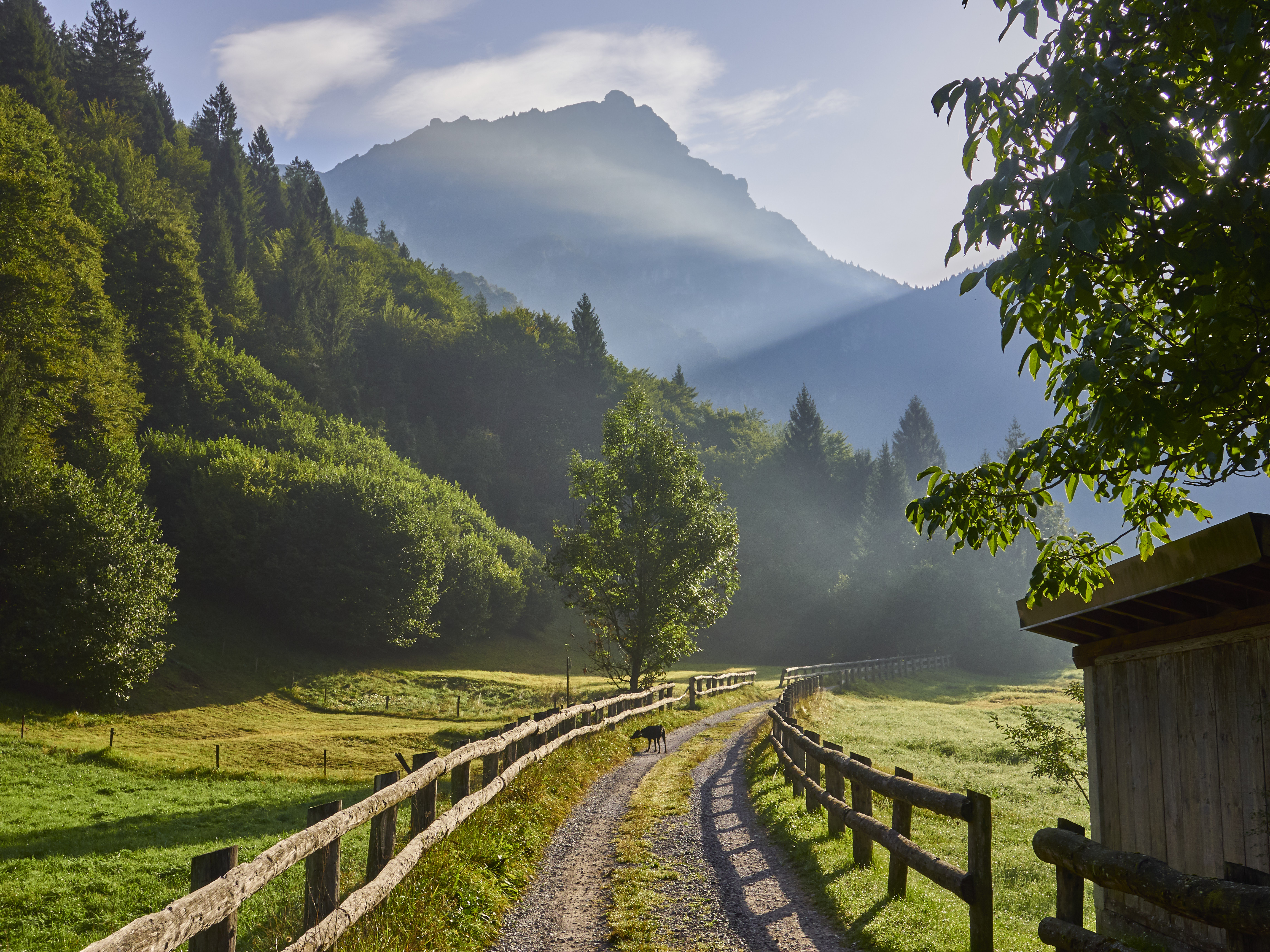 Ledrosee 17 09 19 40