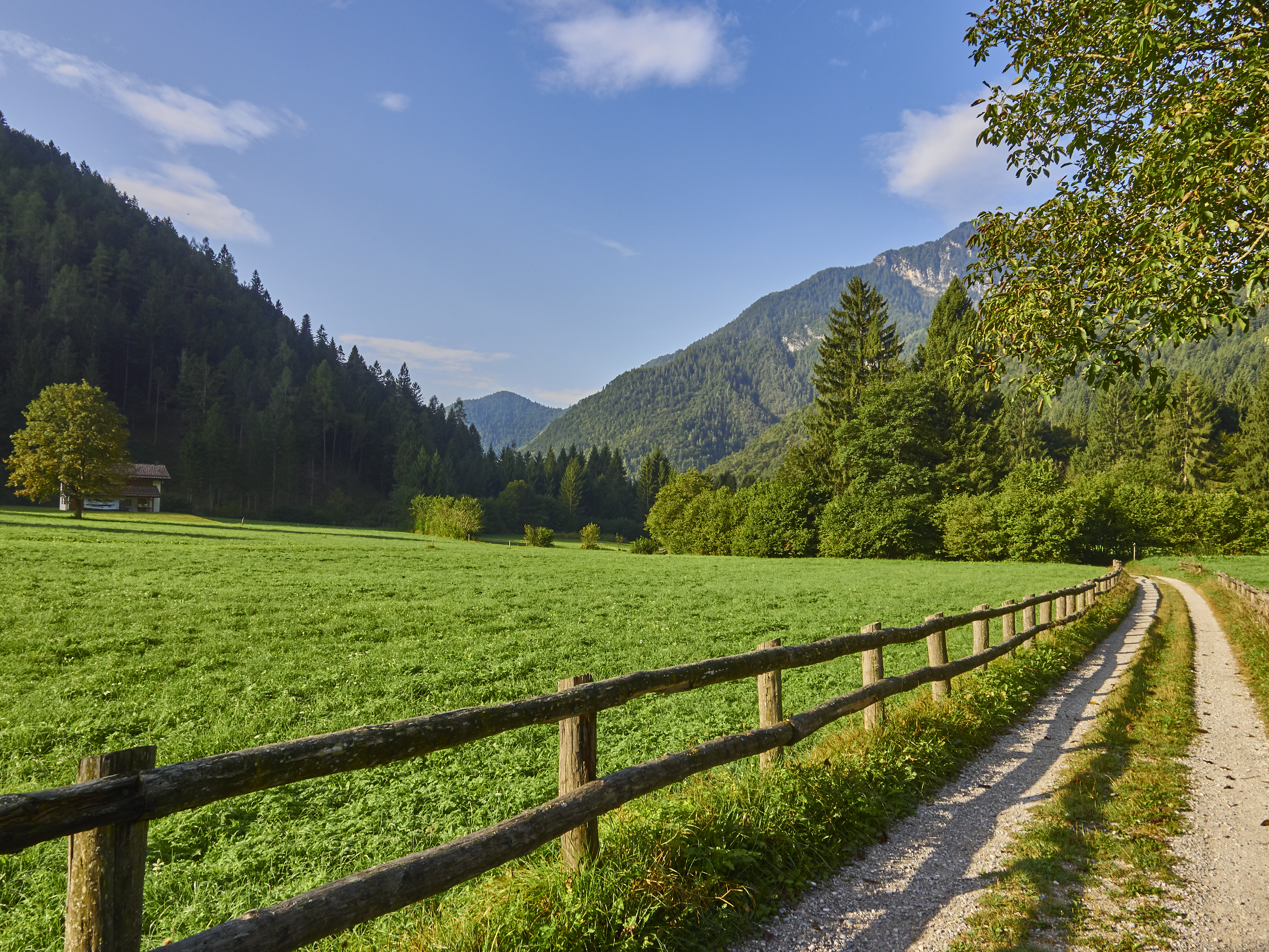 Ledrosee 17 09 19 42