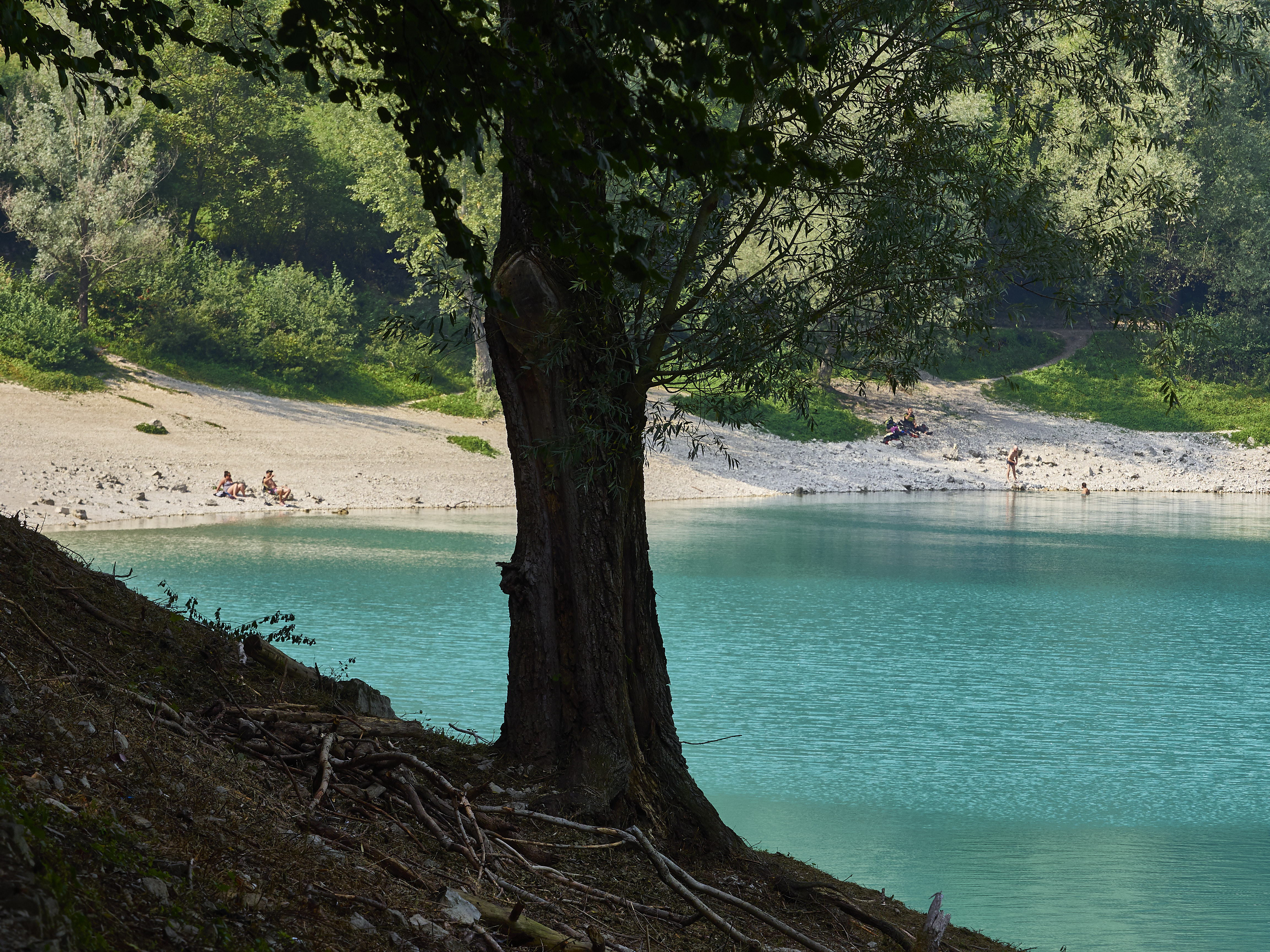 Ledrosee 17 09 19 50