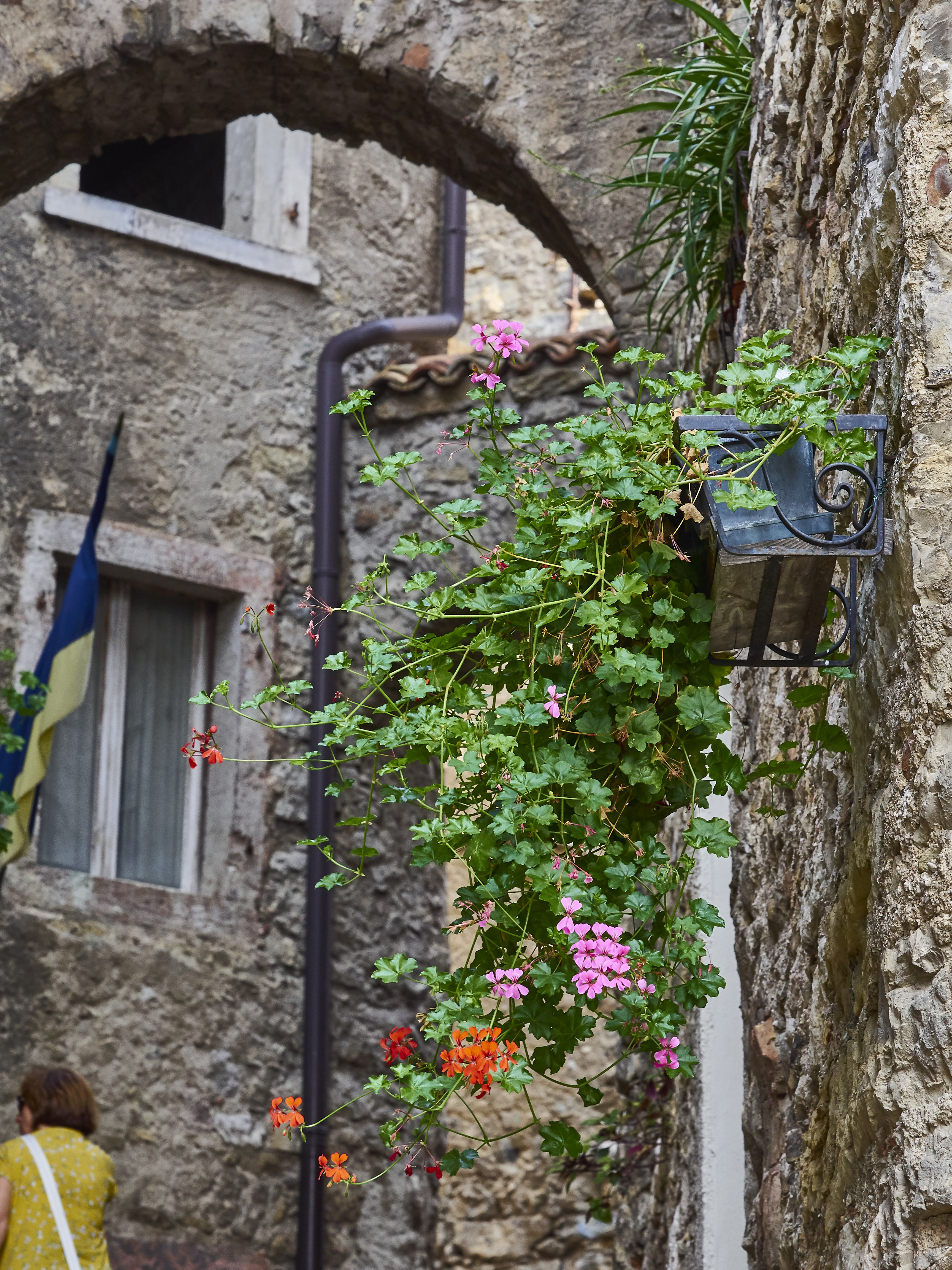 Ledrosee 17 09 19 70