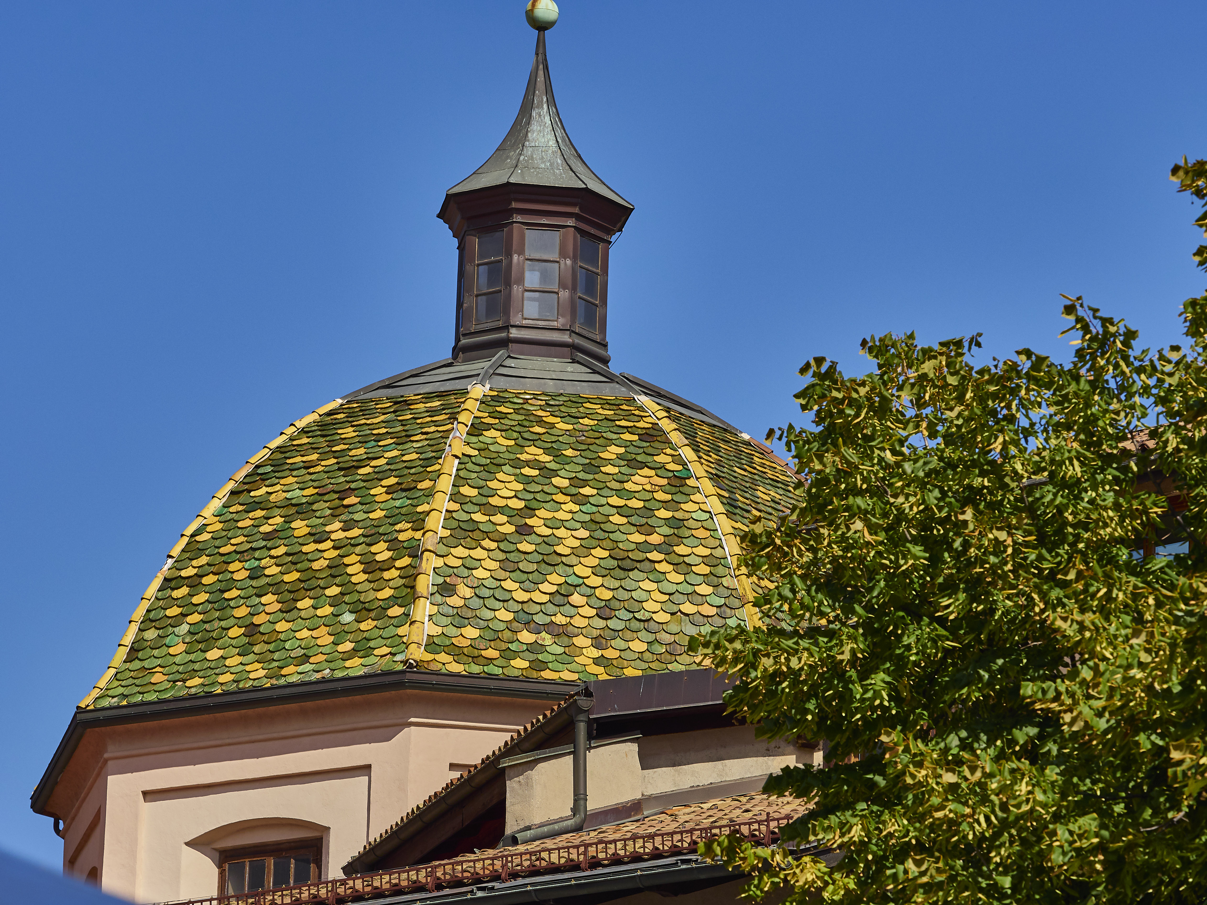 Ledrosee 18 09 19 67