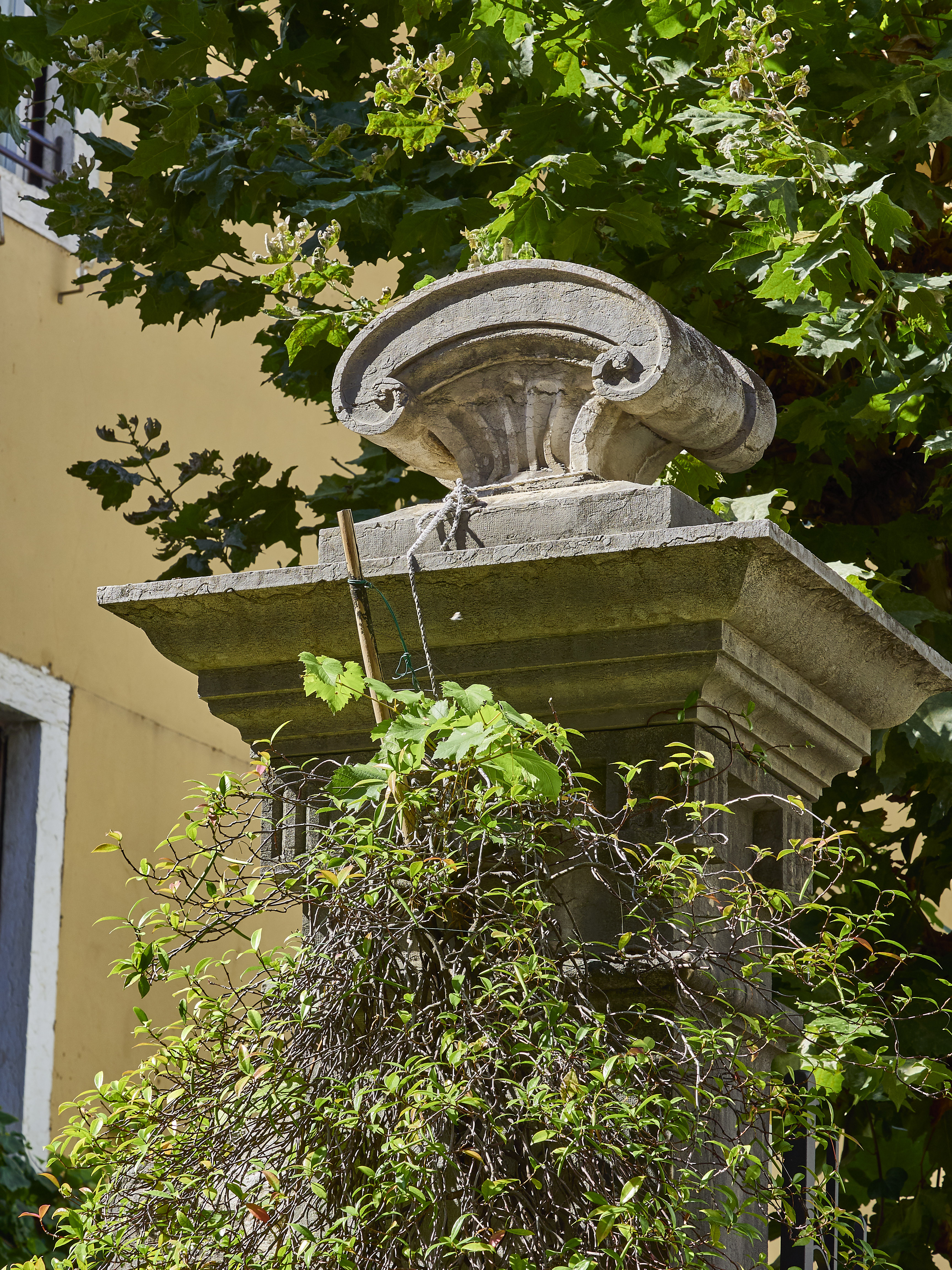 Ledrosee 18 09 19 82