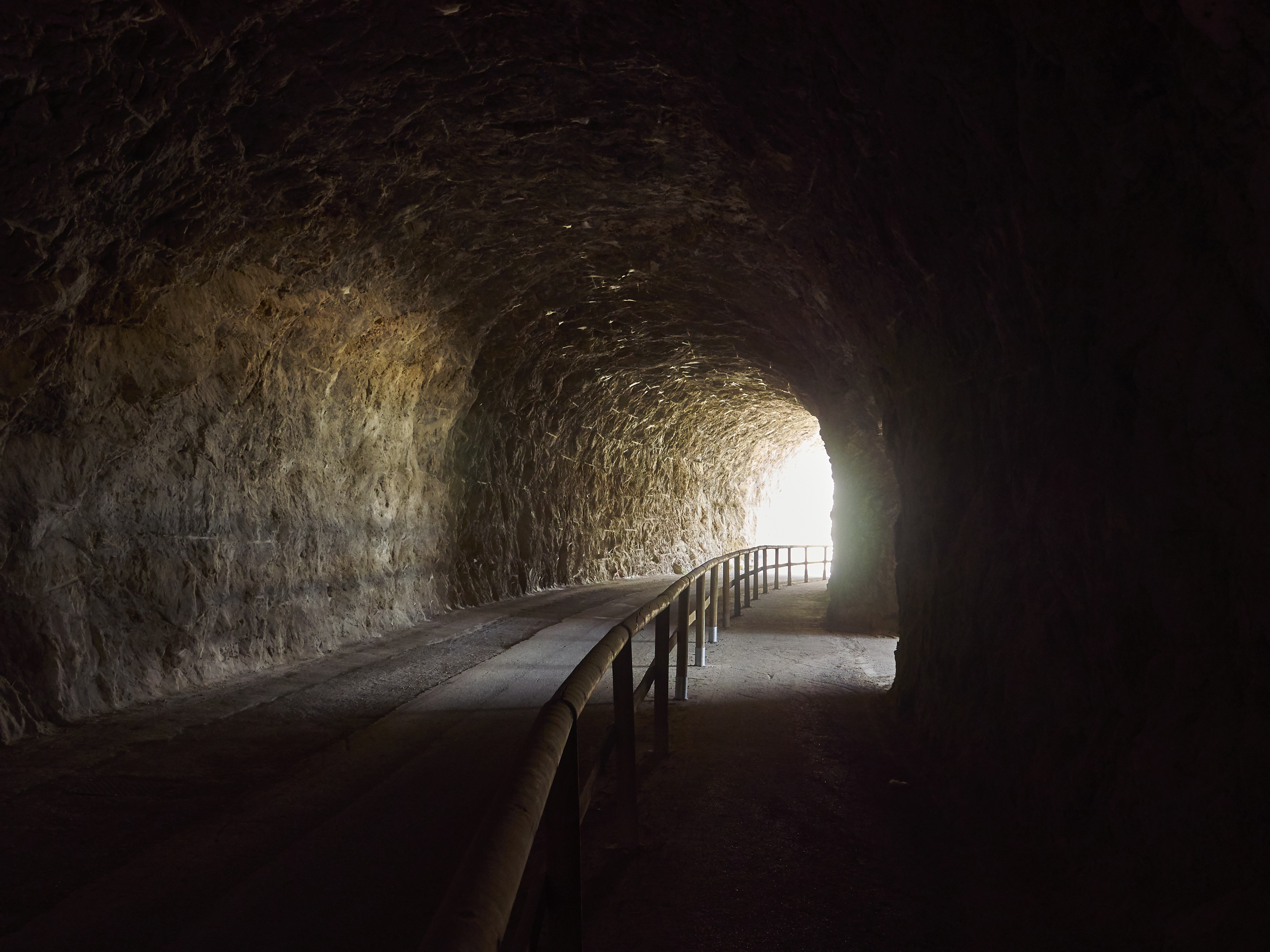 Ledrosee 20 09 19 11