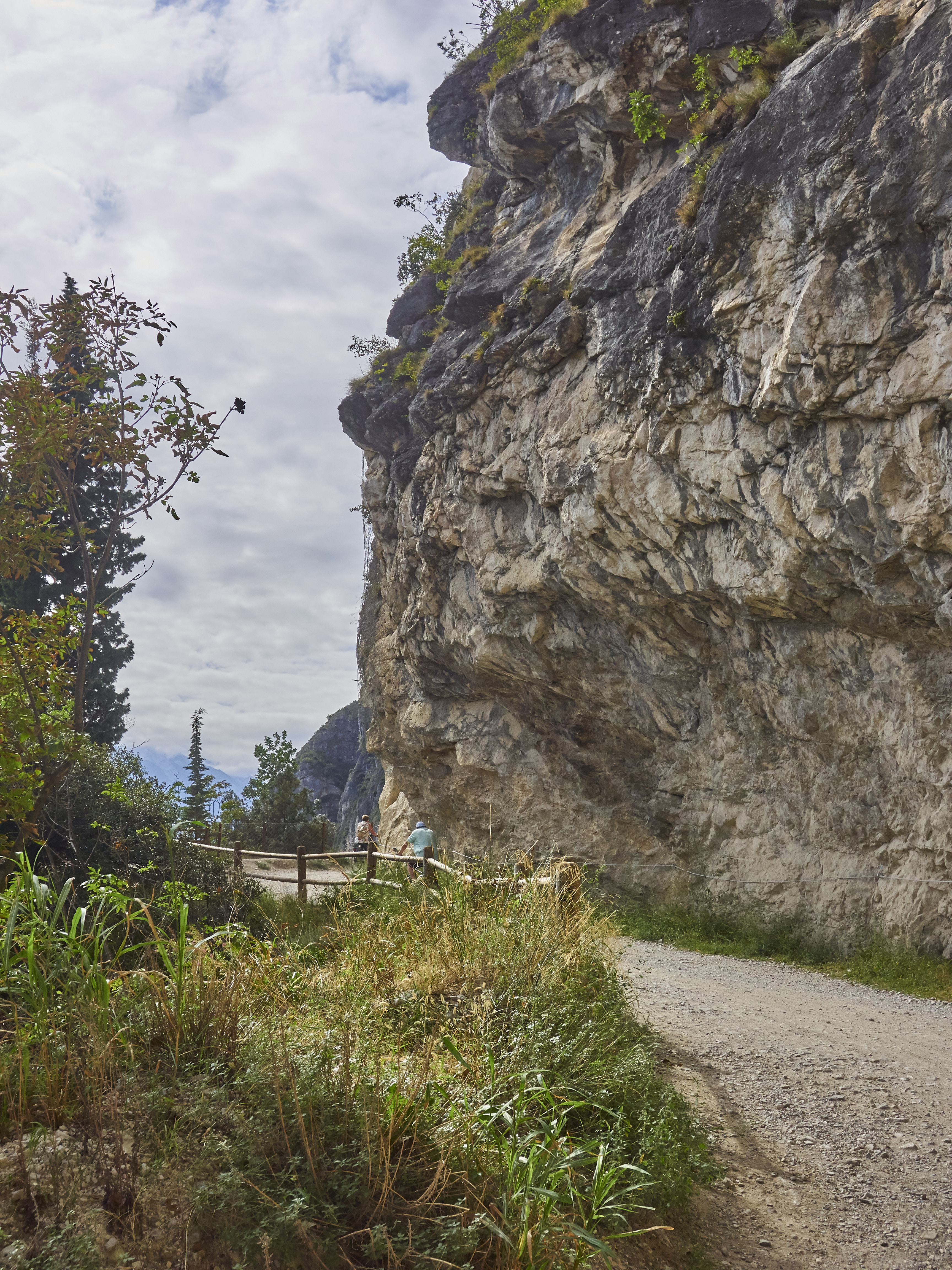 Ledrosee 20 09 19 13