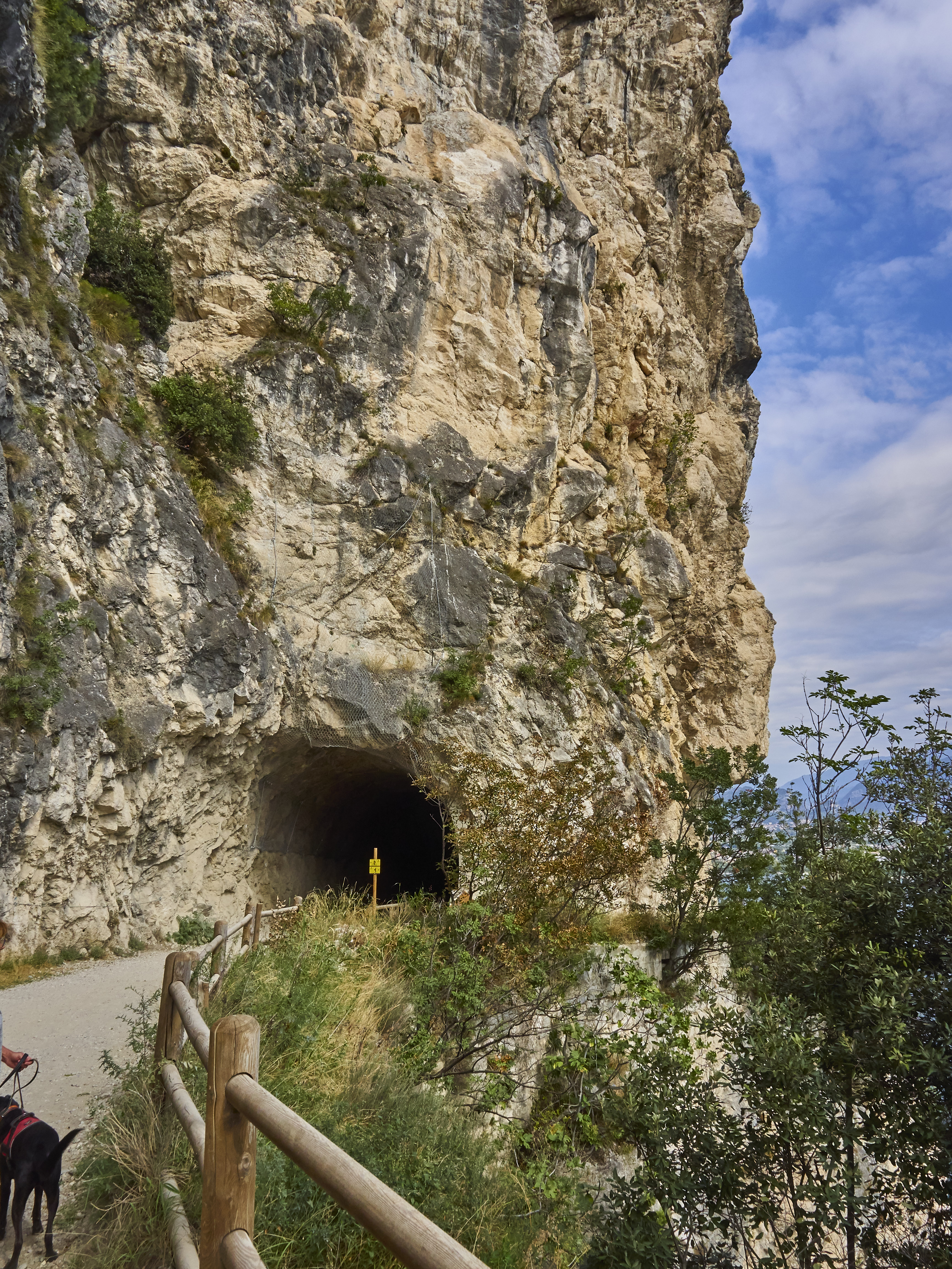 Ledrosee 20 09 19 14