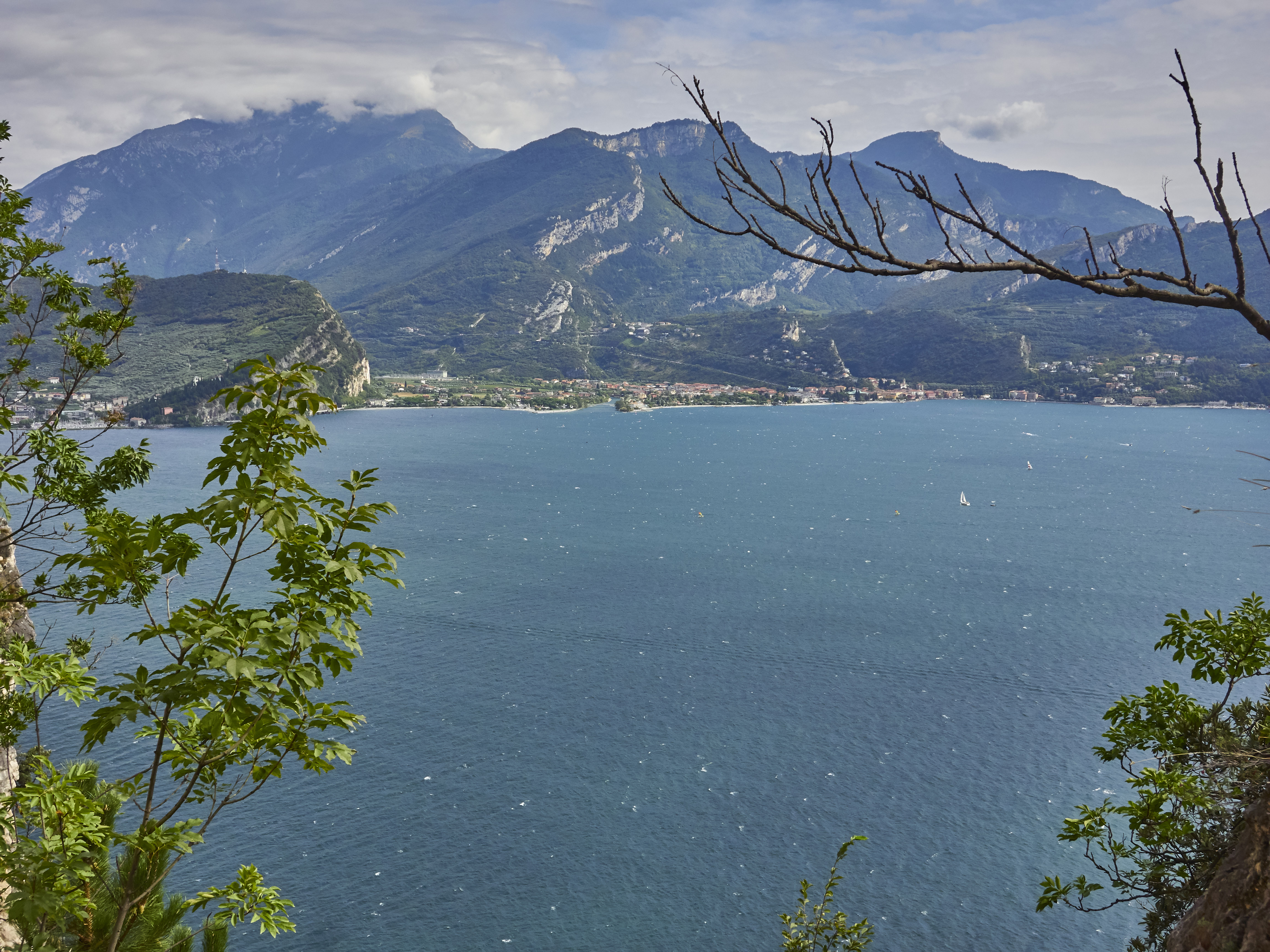 Ledrosee 20 09 19 15