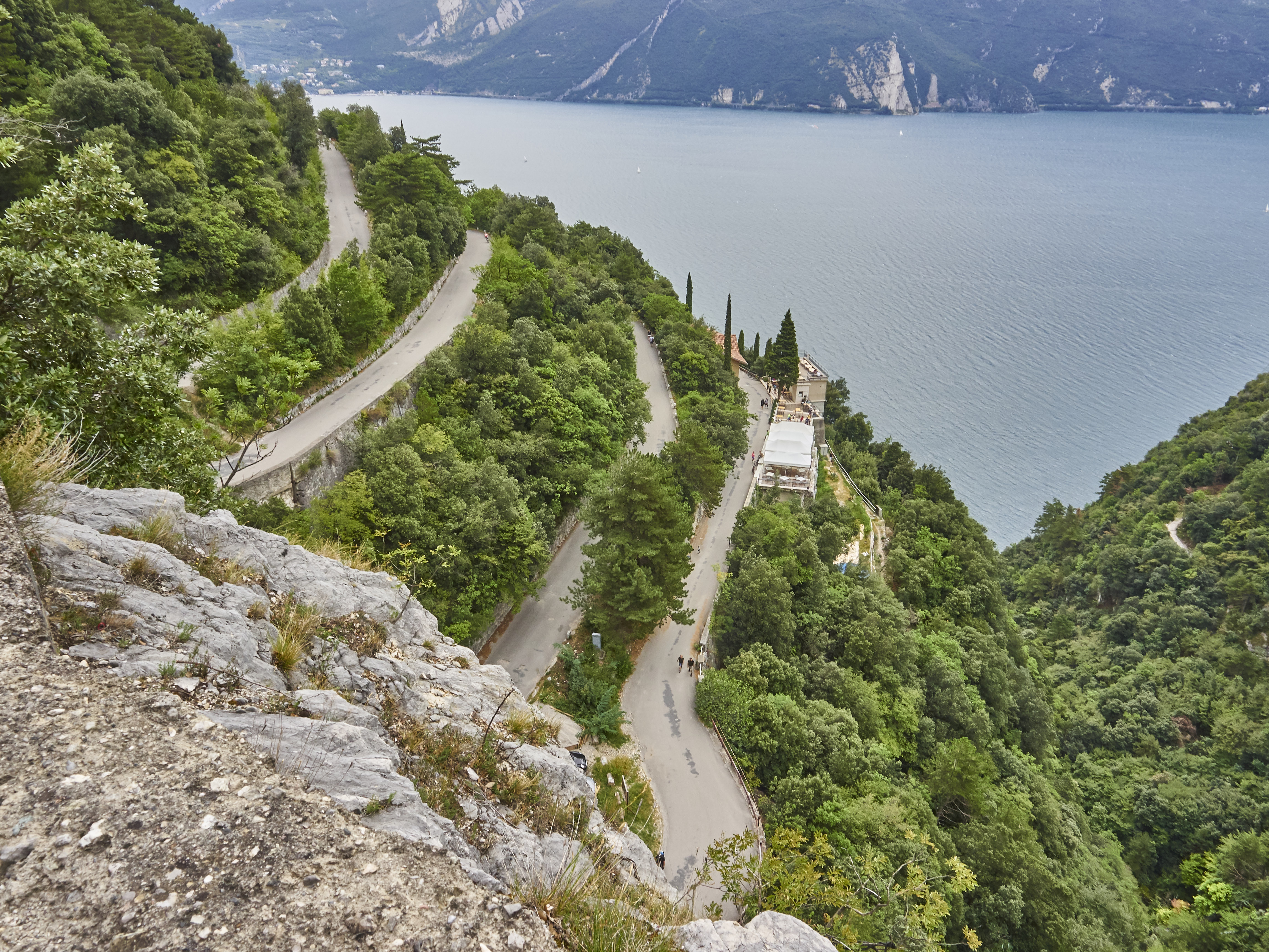 Ledrosee 20 09 19 21