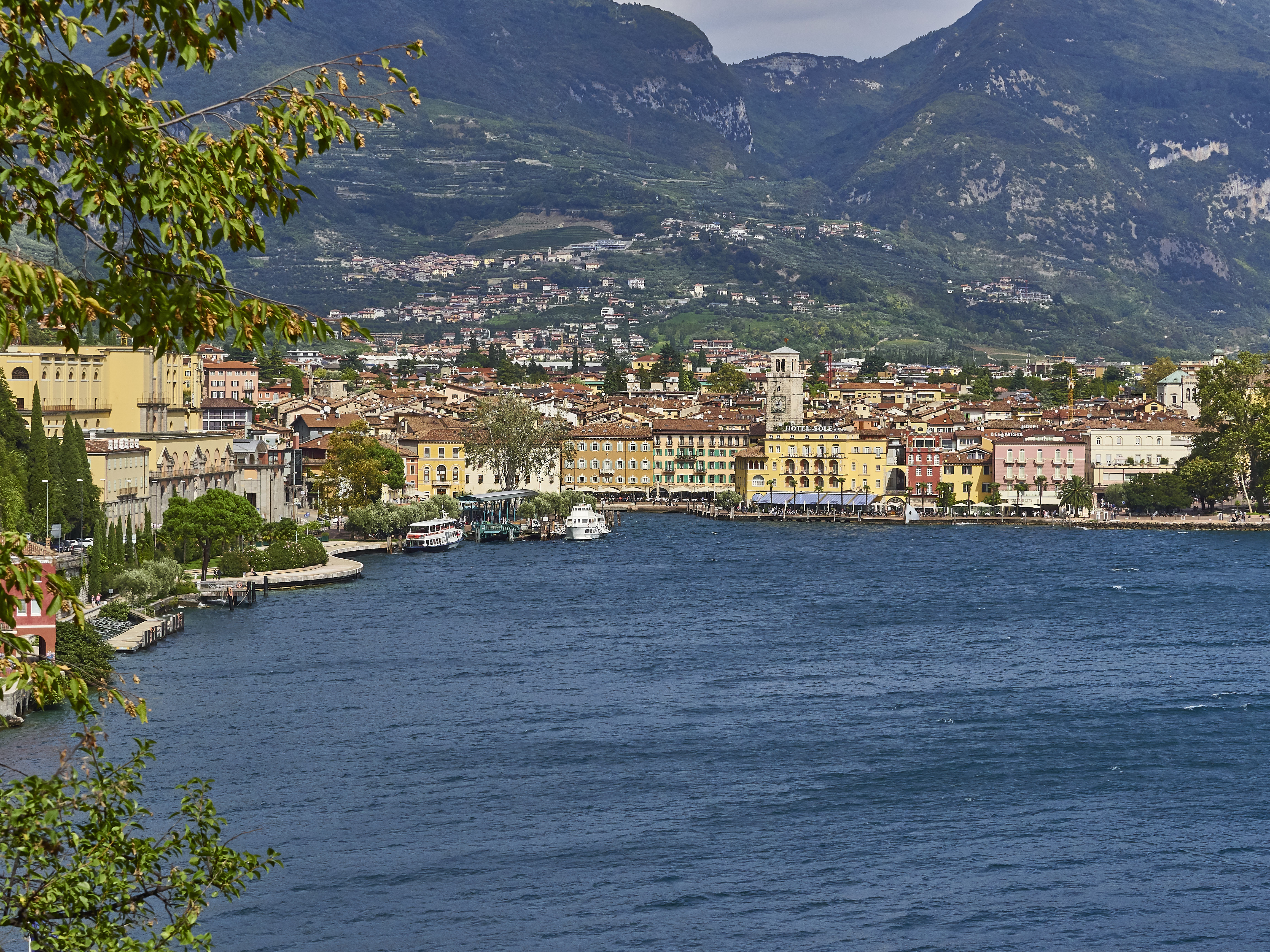 Ledrosee 20 09 19 22