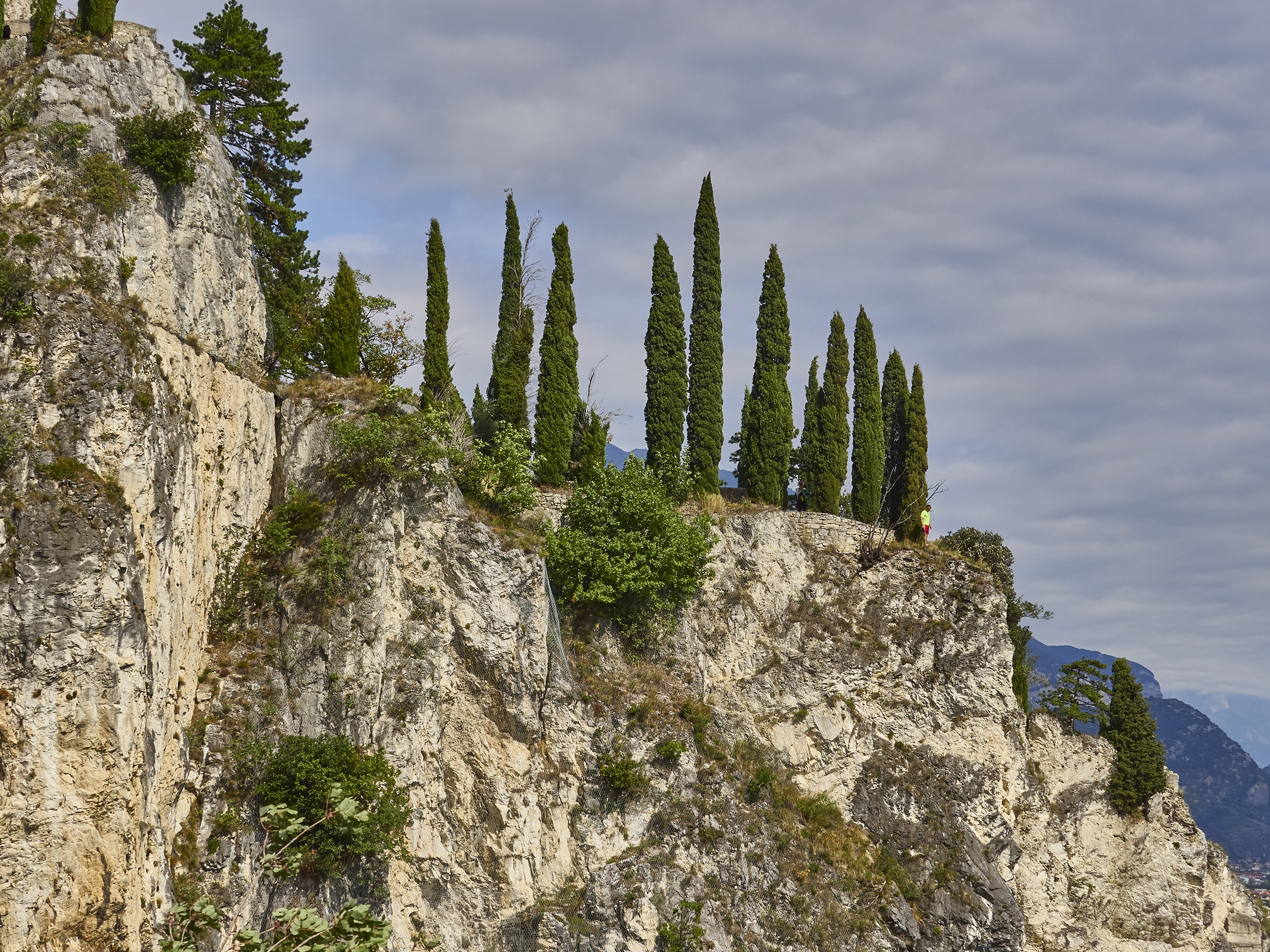 Ledrosee 20 09 19 26