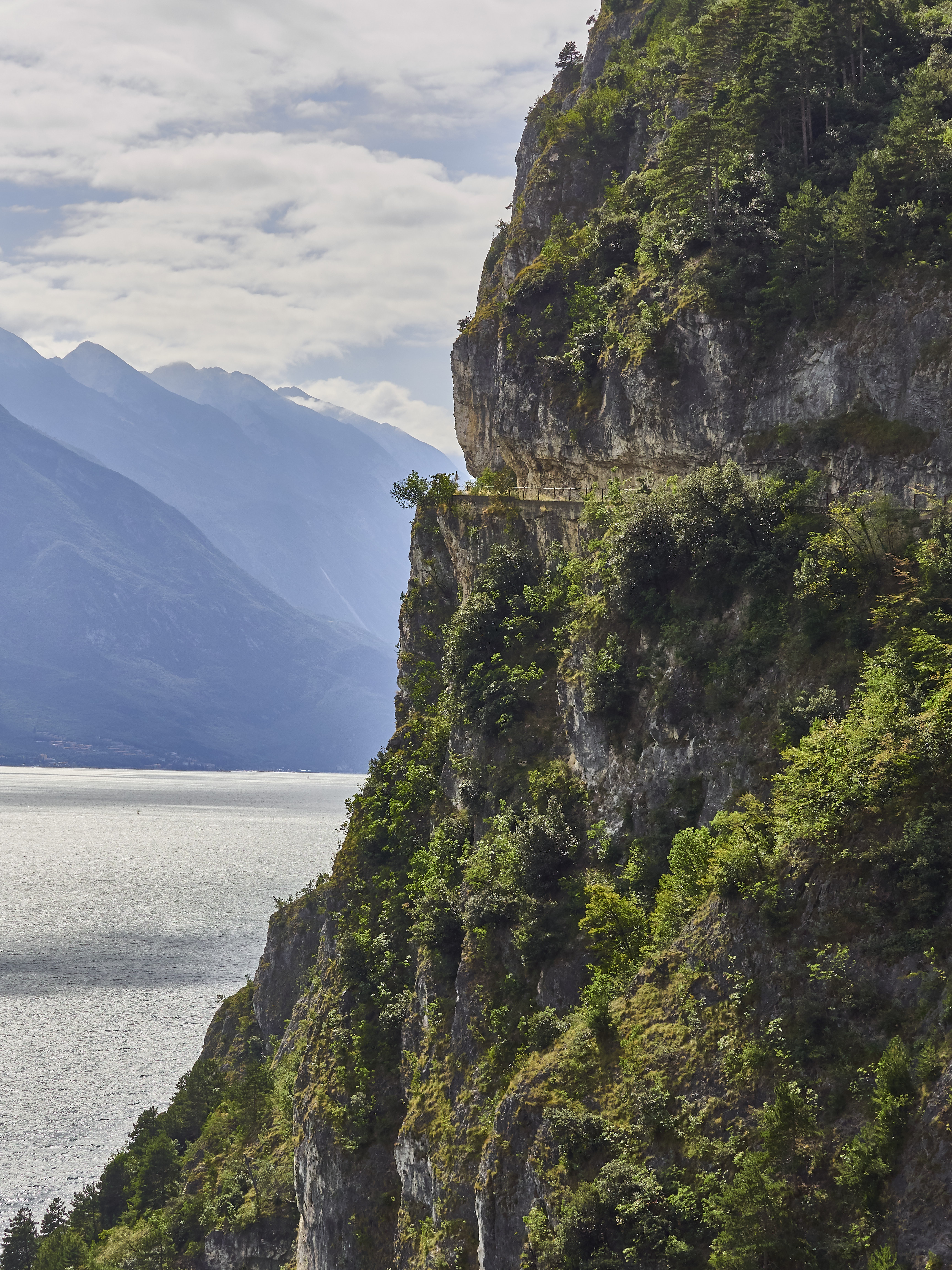 Ledrosee 20 09 19 30