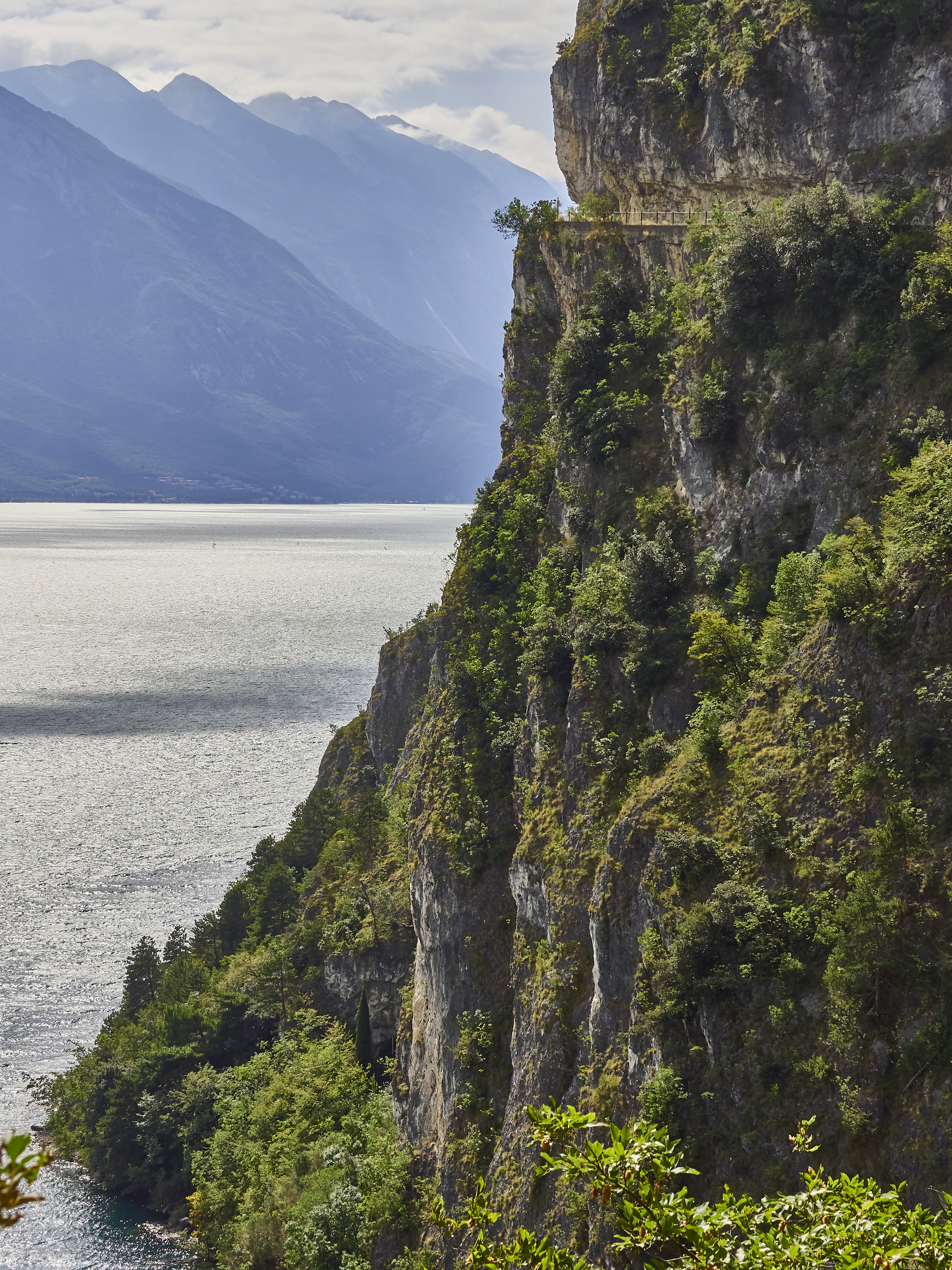 Ledrosee 20 09 19 31