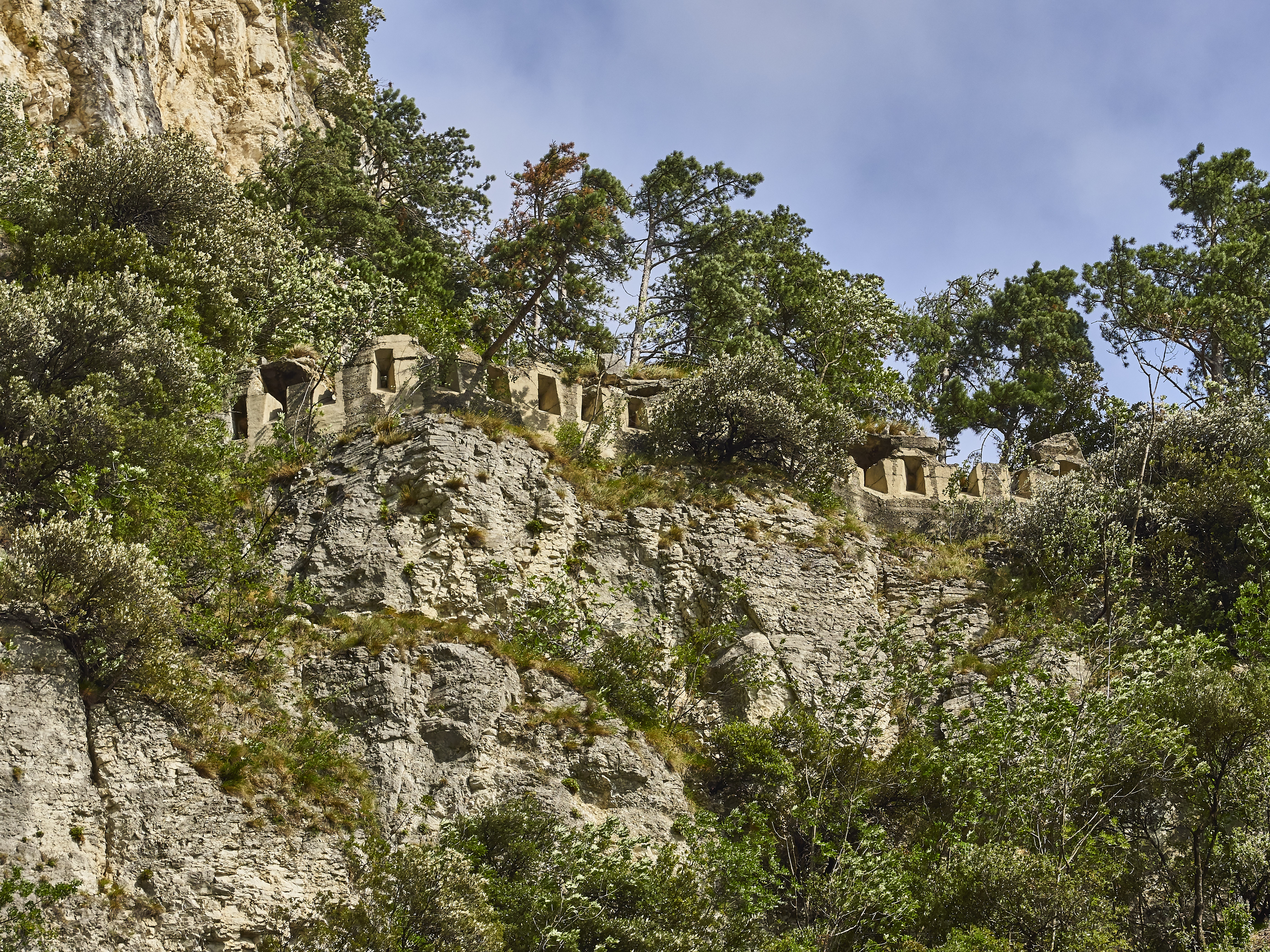 Ledrosee 20 09 19 32