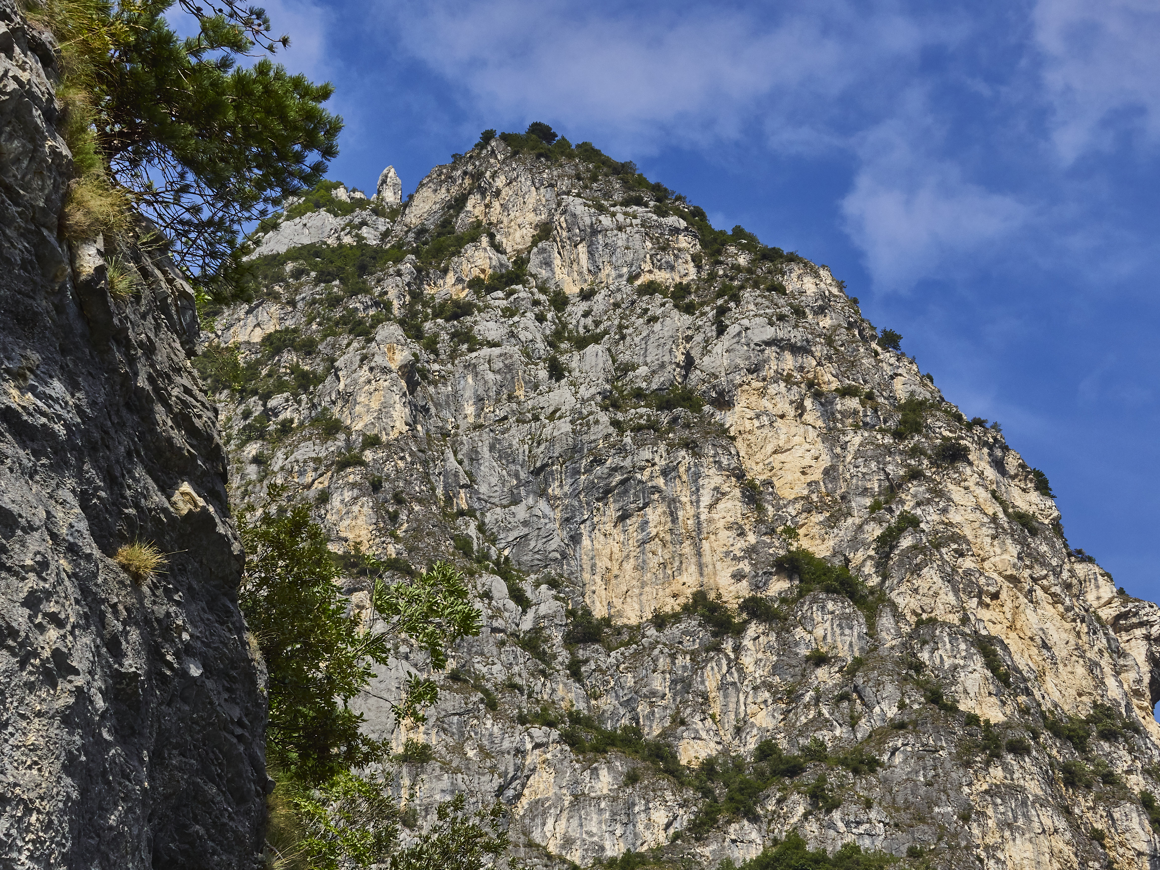 Ledrosee 20 09 19 34