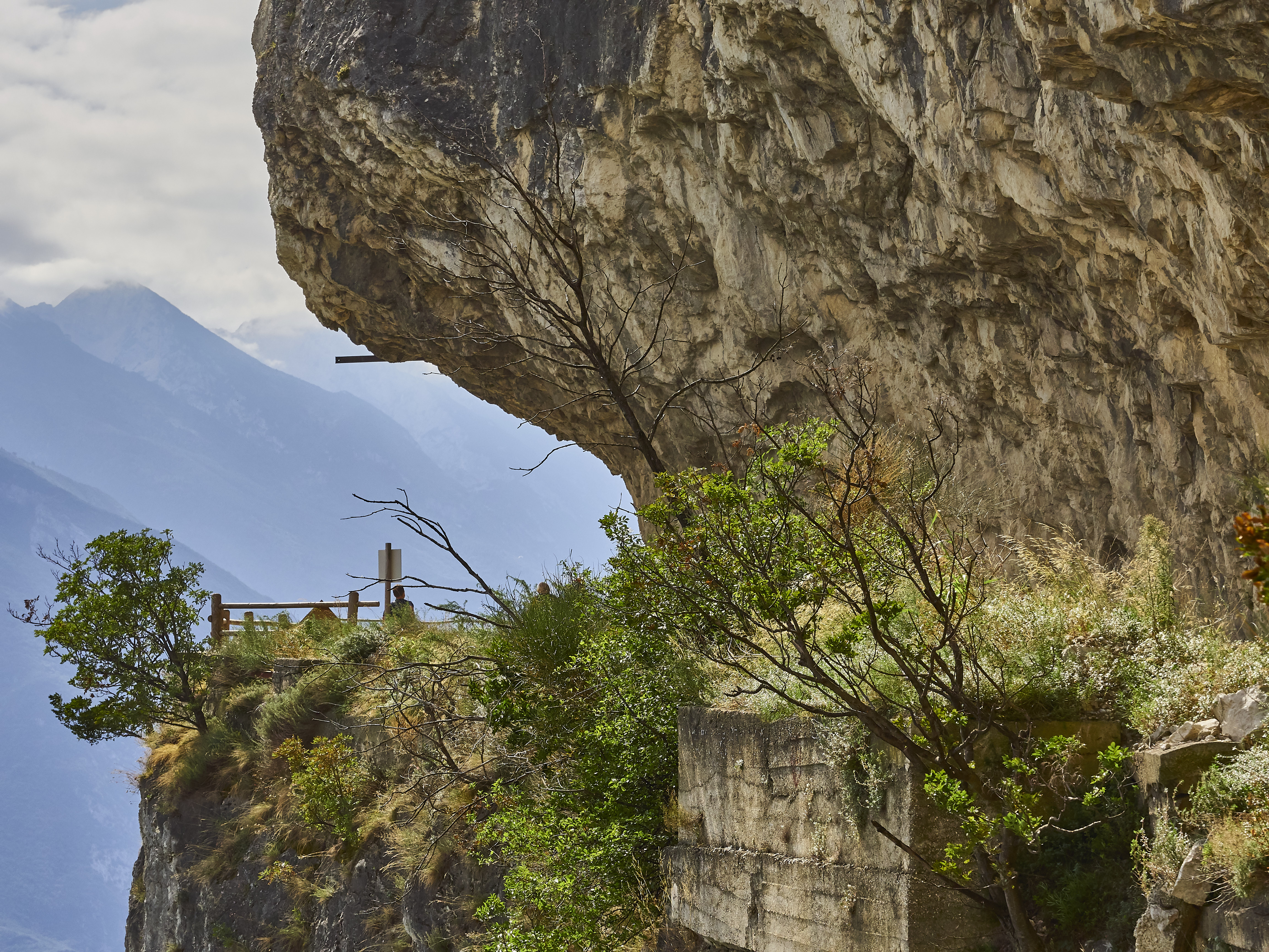 Ledrosee 20 09 19 37