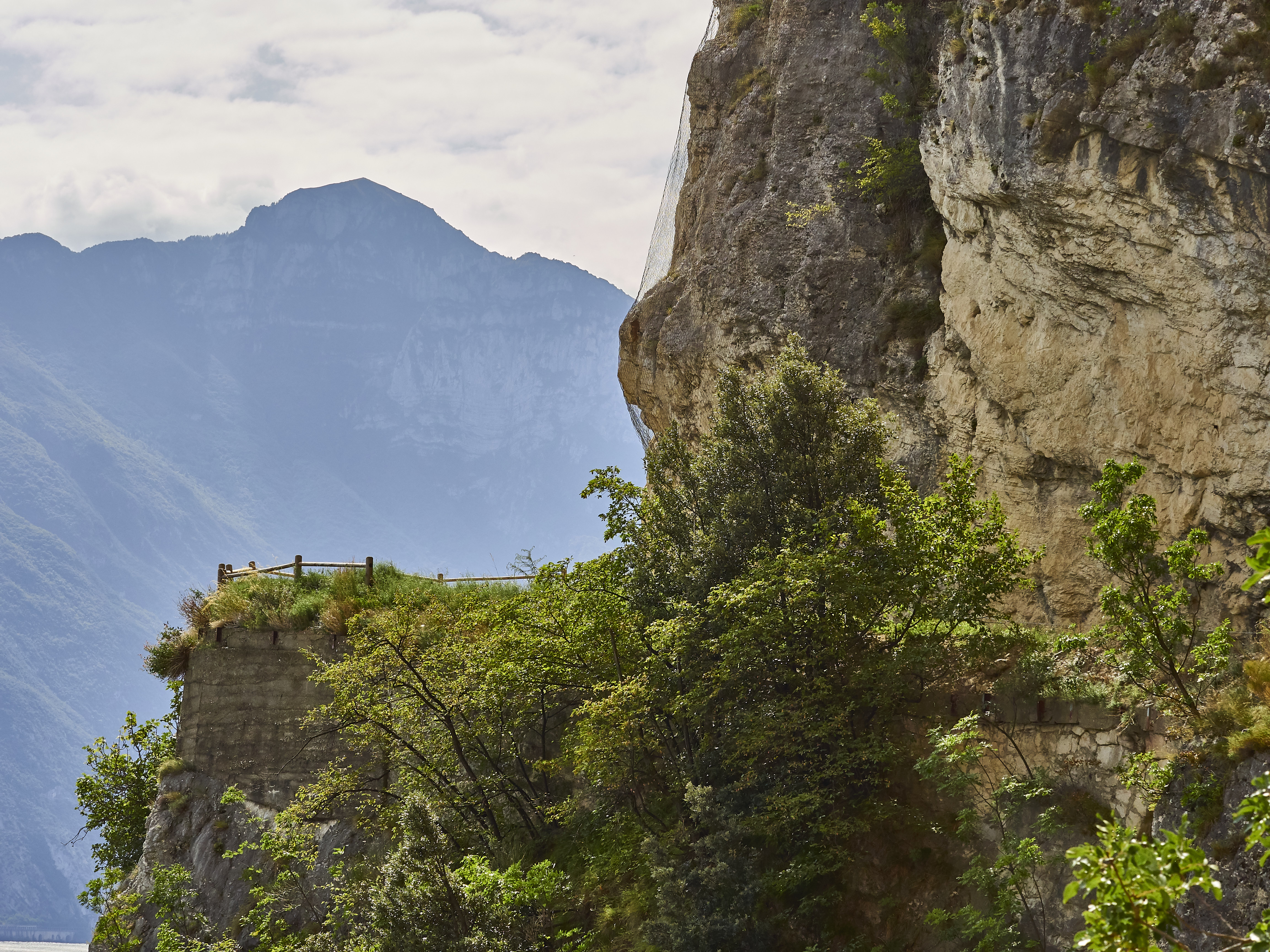 Ledrosee 20 09 19 39