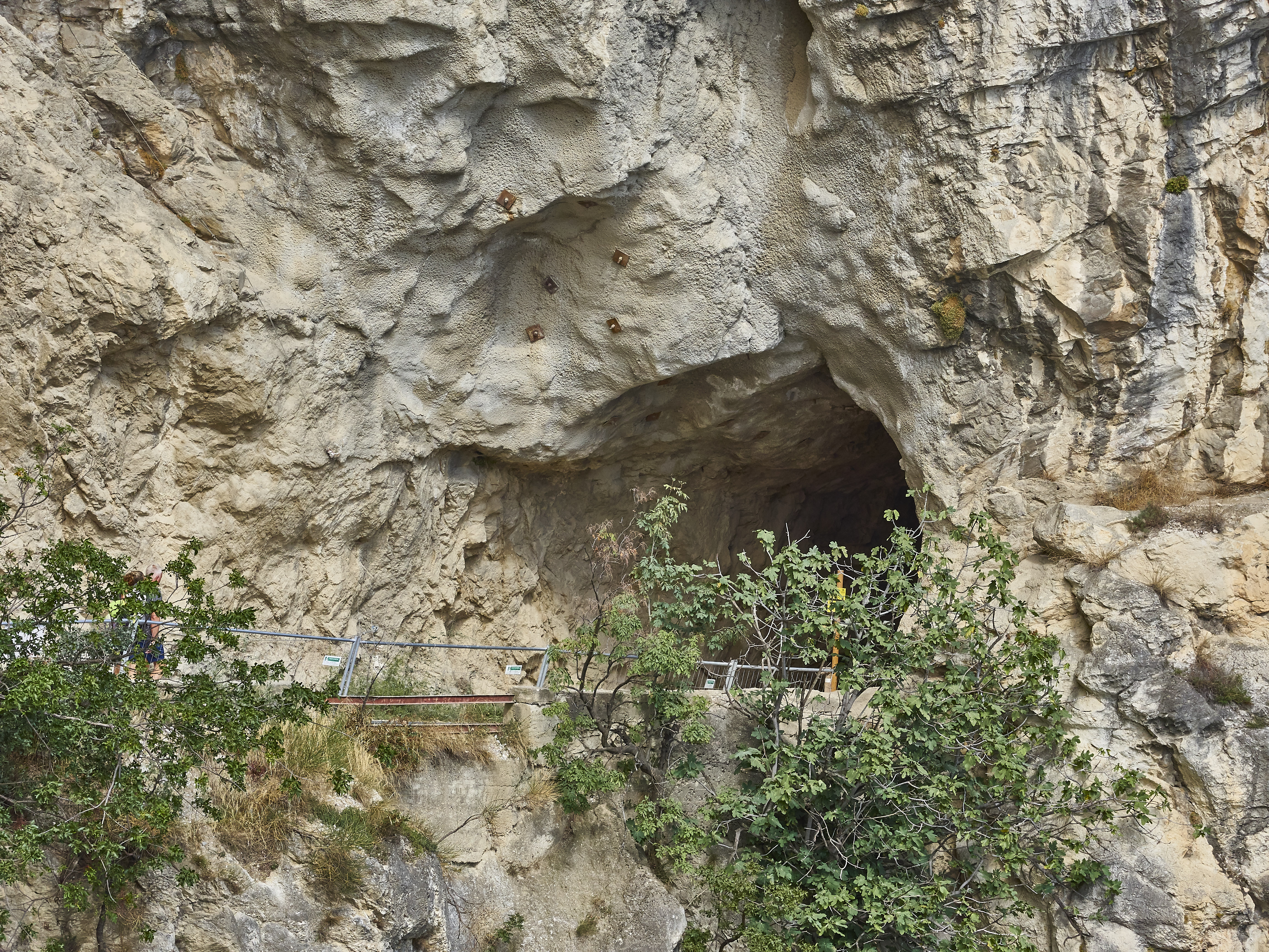 Ledrosee 20 09 19 44