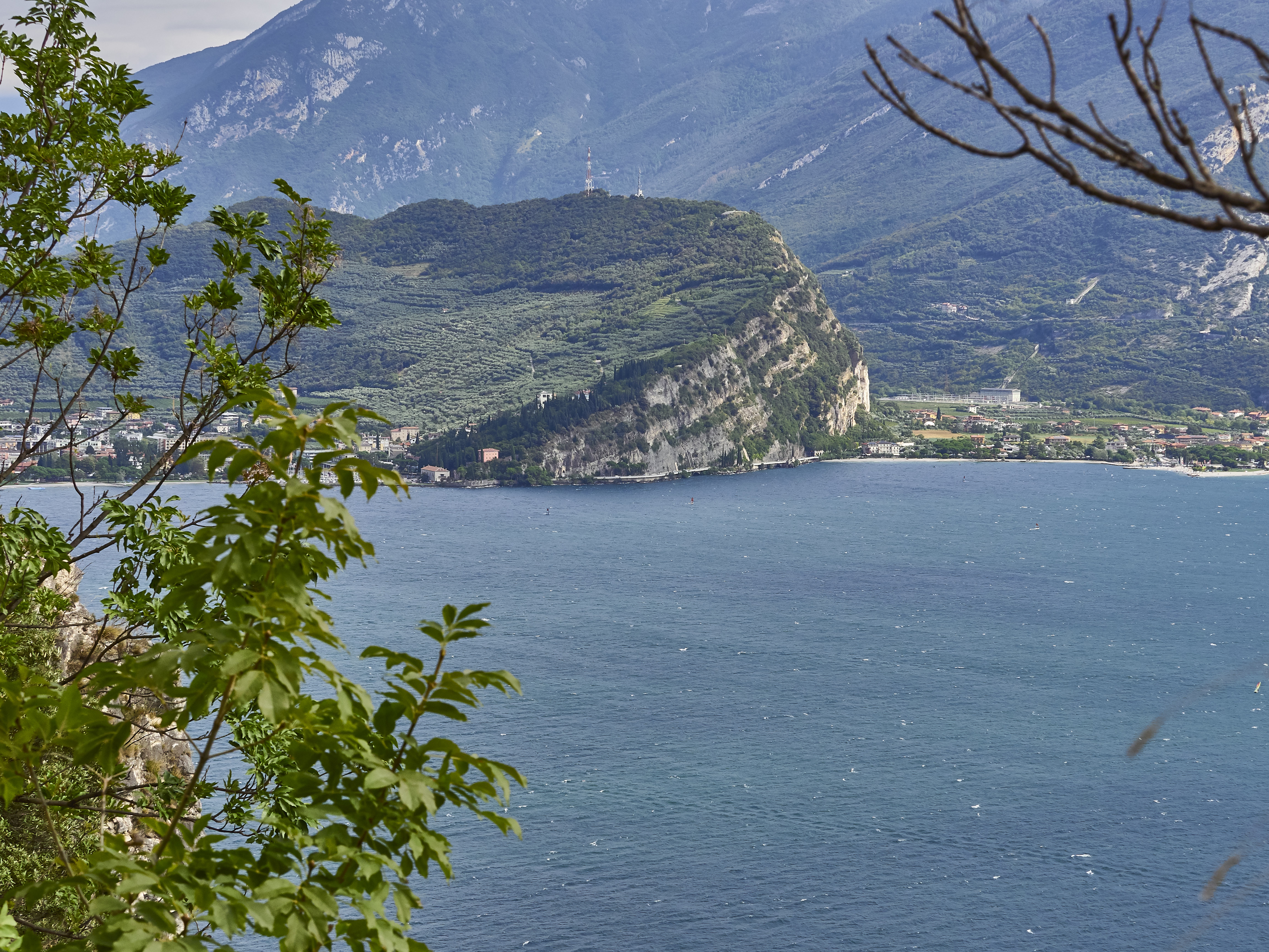 Ledrosee 20 09 19 49