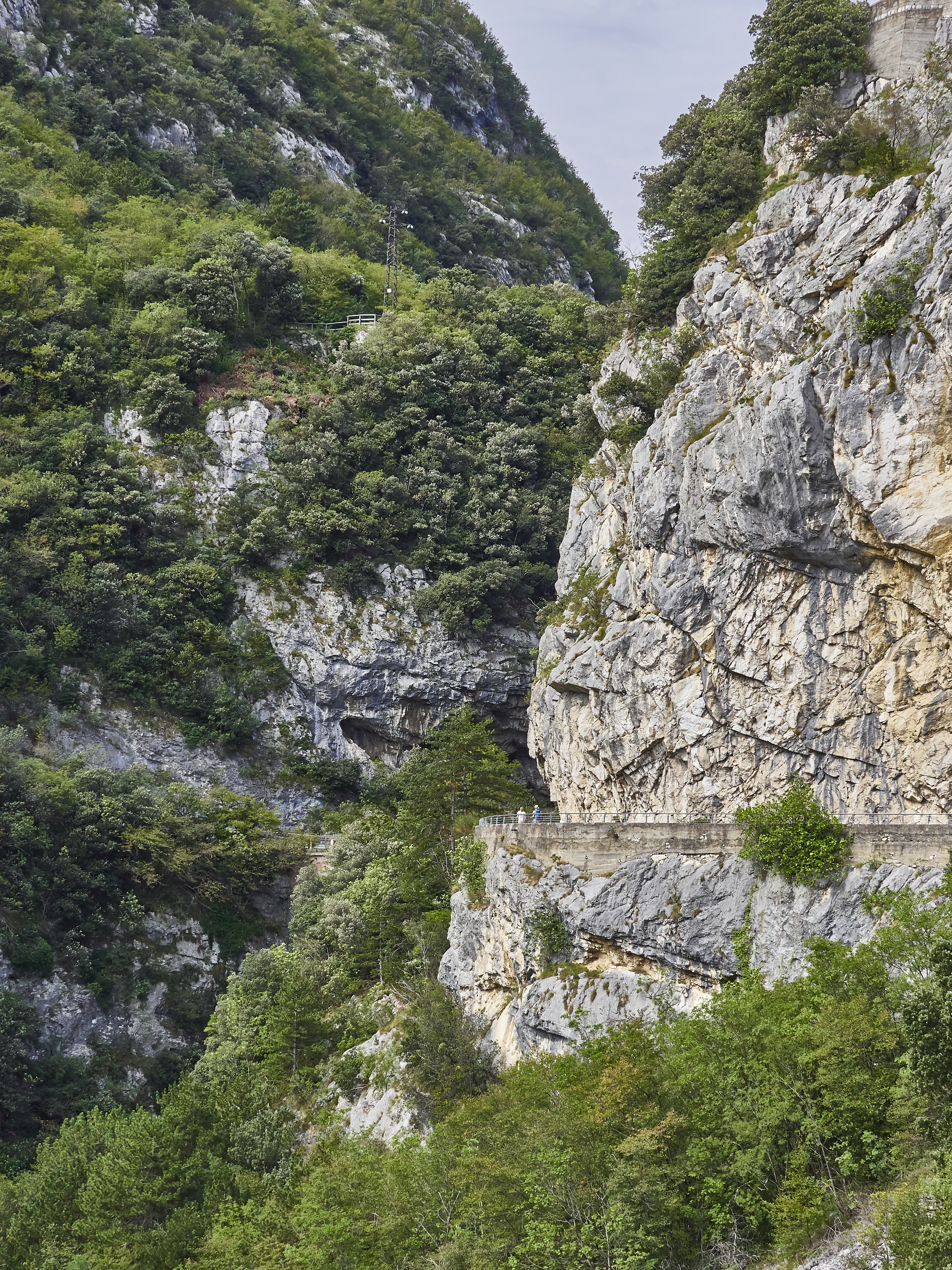 Ledrosee 20 09 19 52