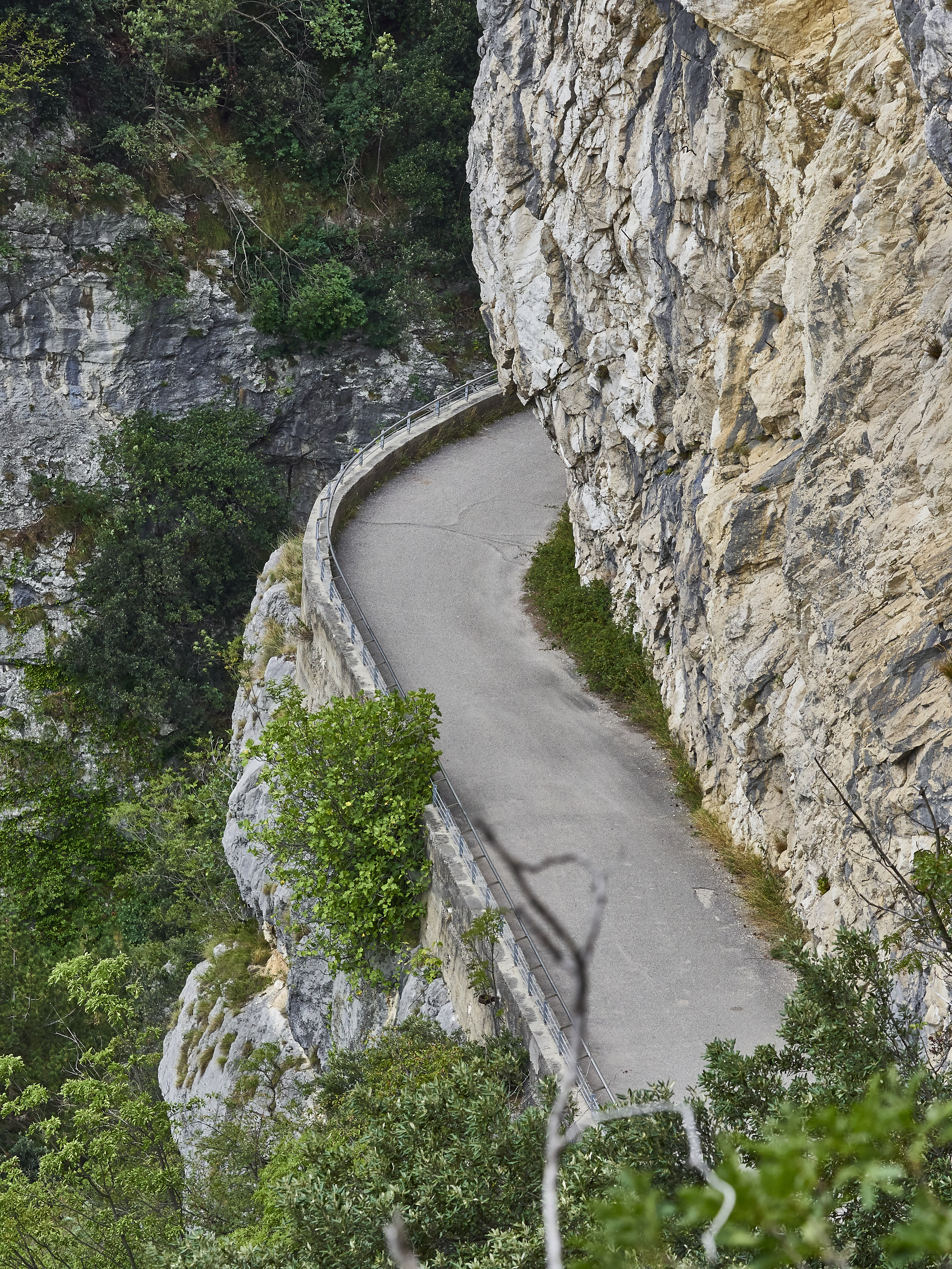 Ledrosee 20 09 19 59