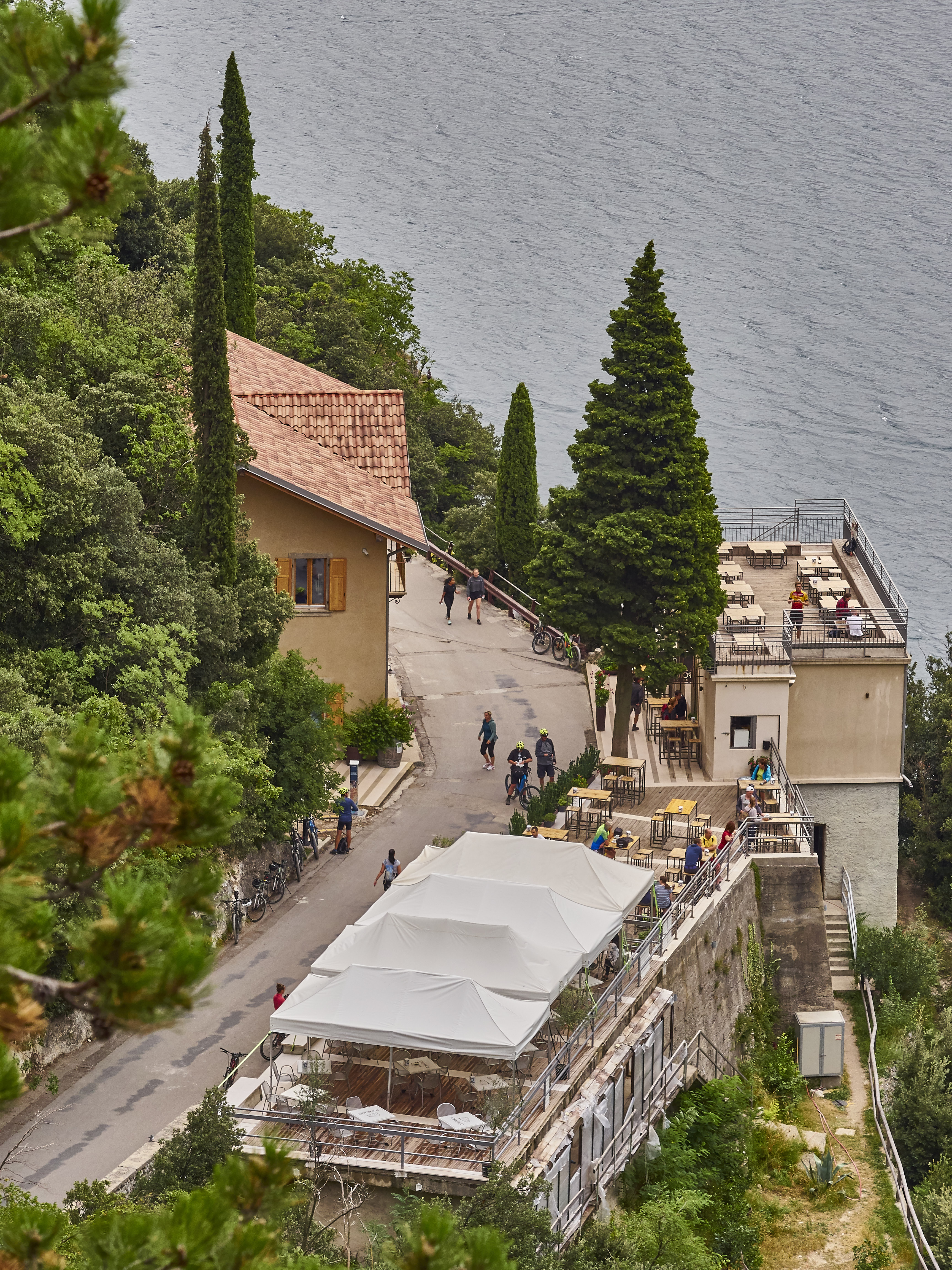 Ledrosee 20 09 19 62