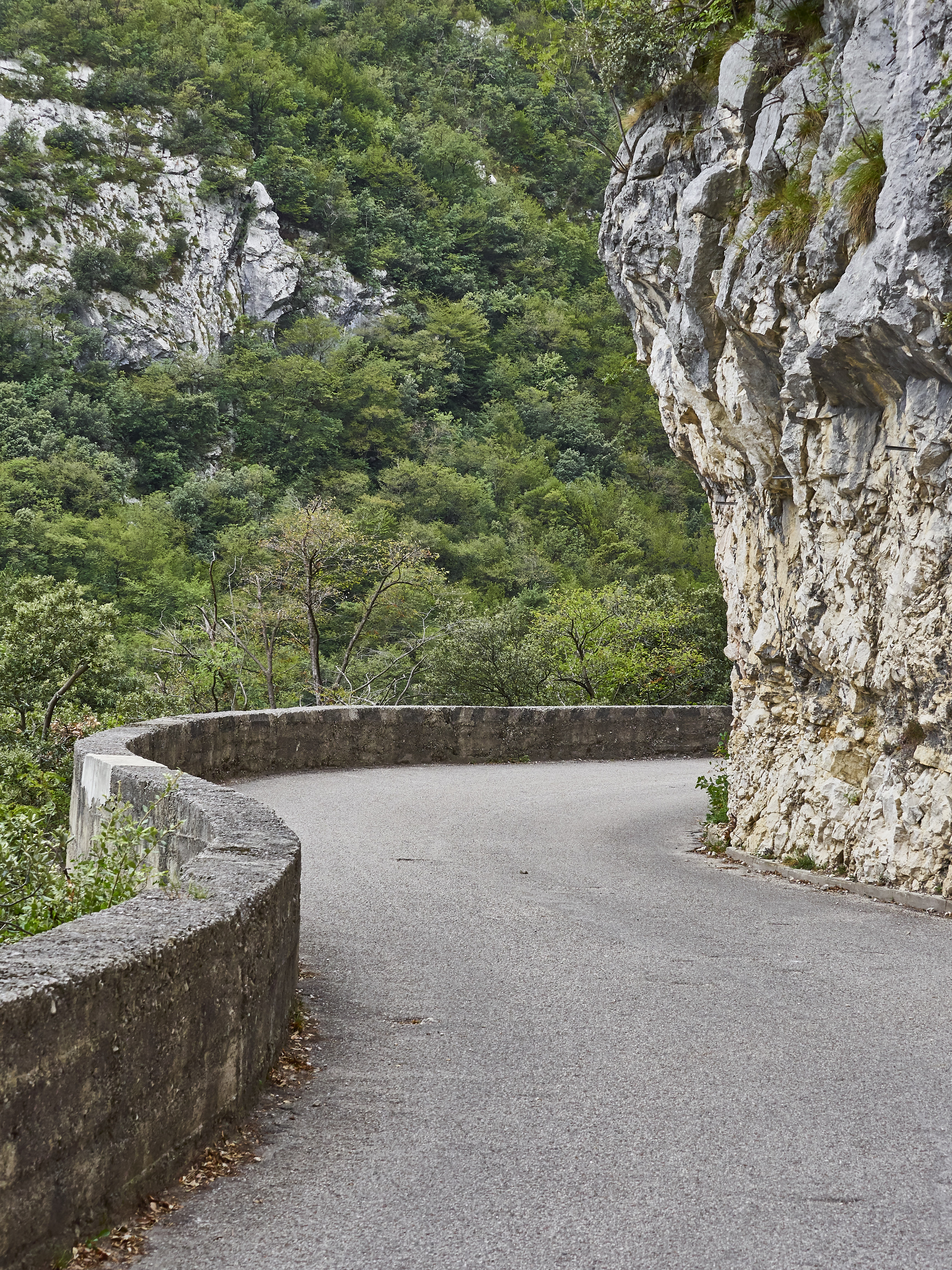 Ledrosee 20 09 19 66