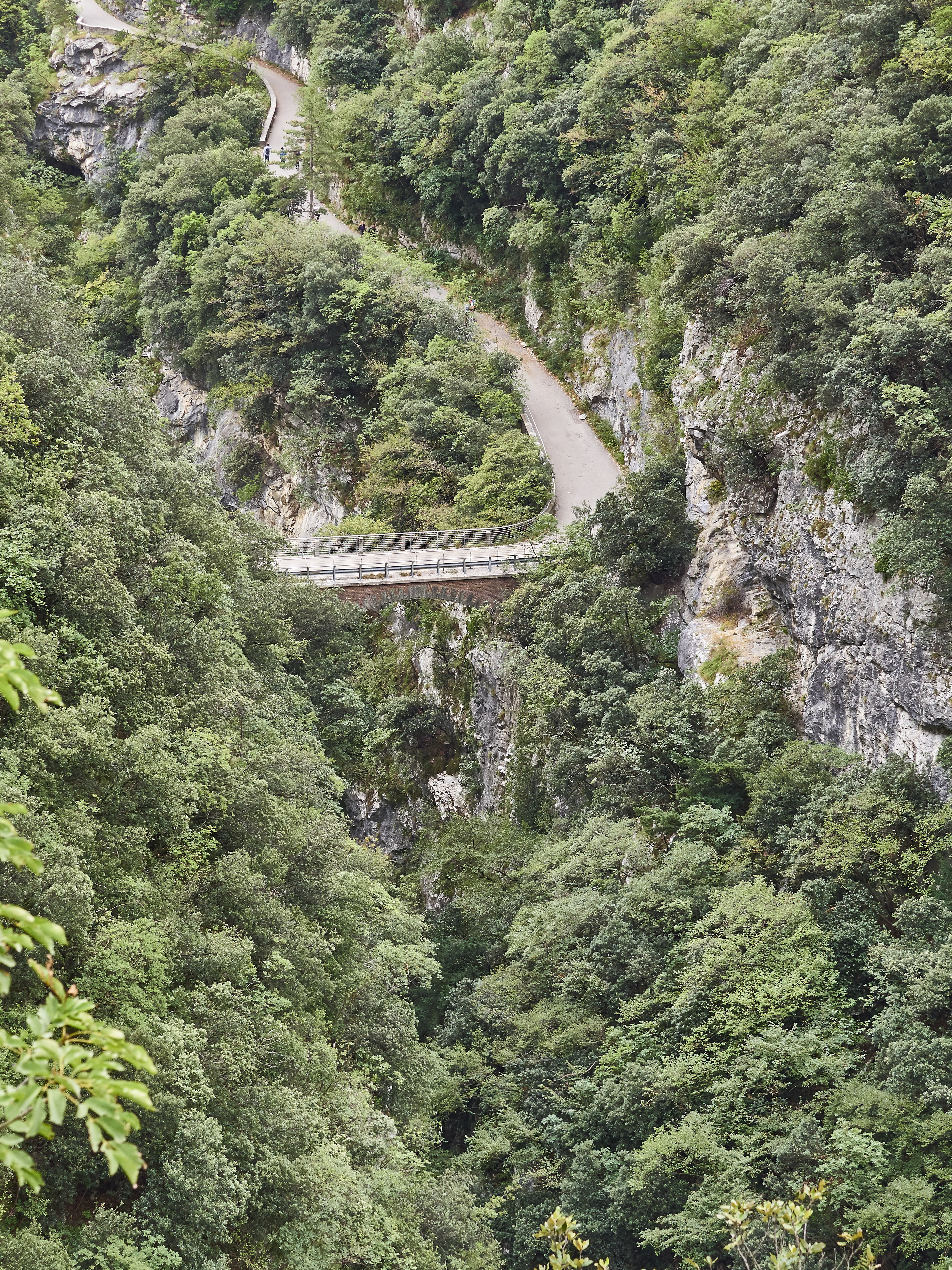 Ledrosee 20 09 19 67