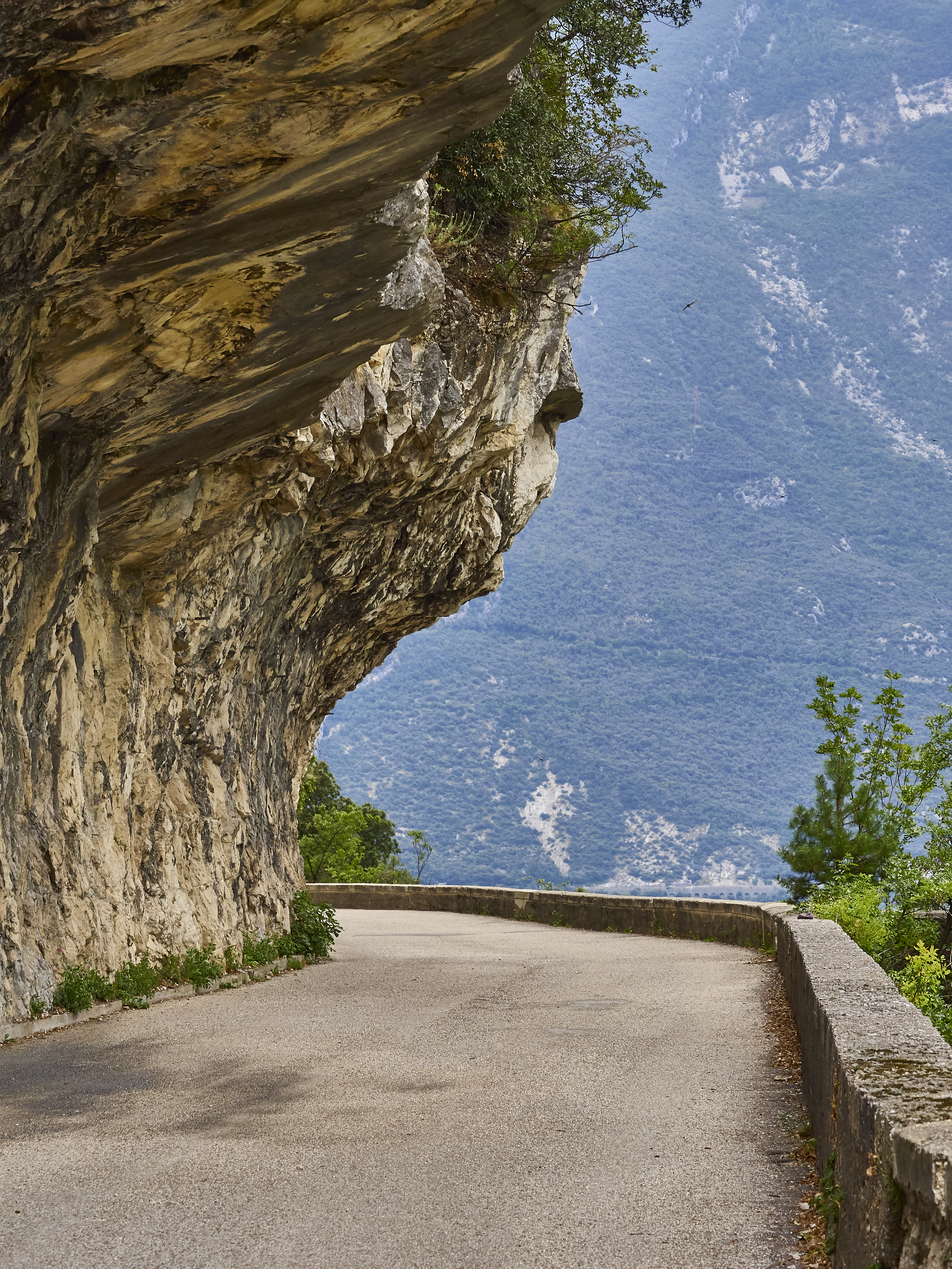 Ledrosee 20 09 19 73