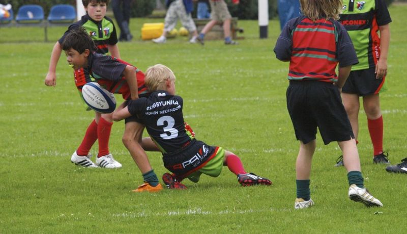 Normal DM2010 2010 06 12 14 41 57