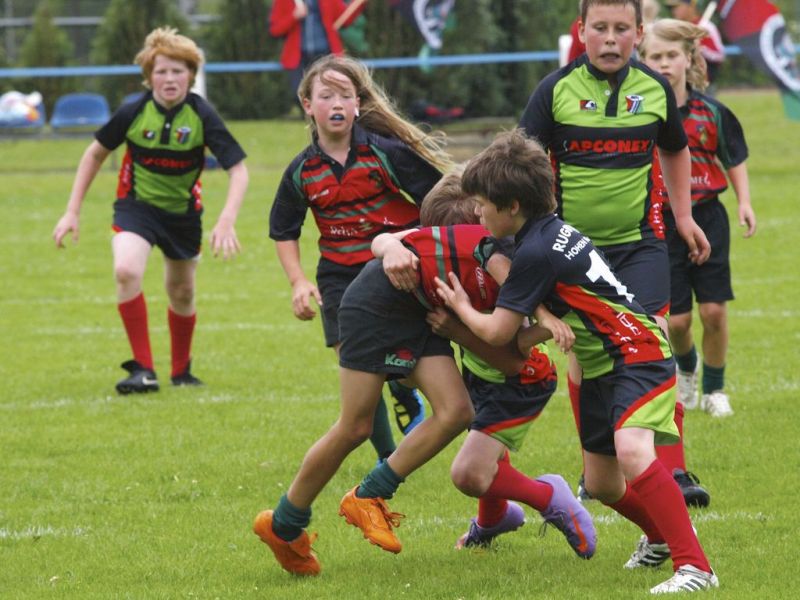 Normal DM2010 2010 06 12 14 48 36