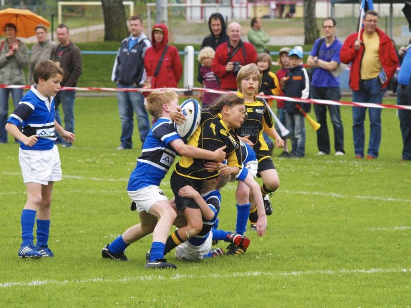 Normal DM2010 2010 06 12 15 00 56