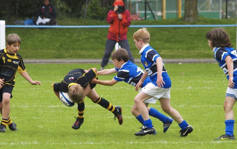 Normal DM2010 2010 06 12 15 04 36