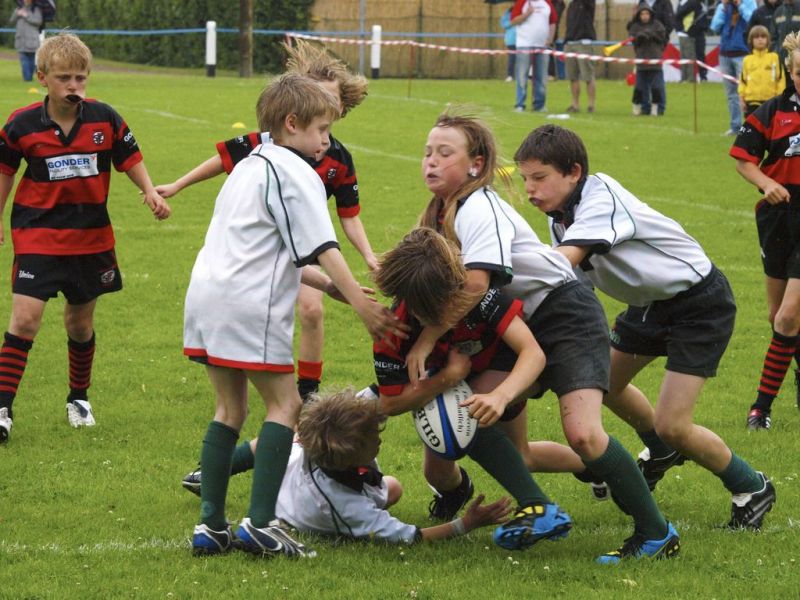 Normal DM2010 2010 06 12 16 15 54