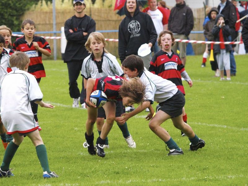 Normal DM2010 2010 06 12 16 19 18