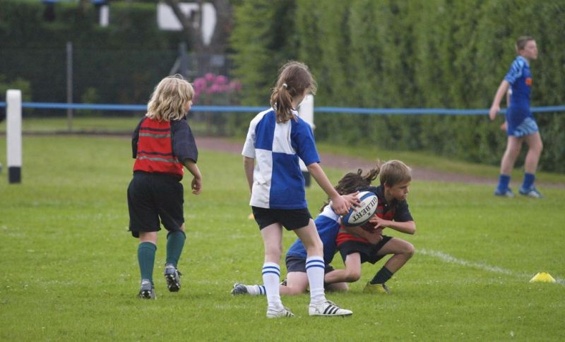 Normal DM2010 2010 06 12 18 02 41