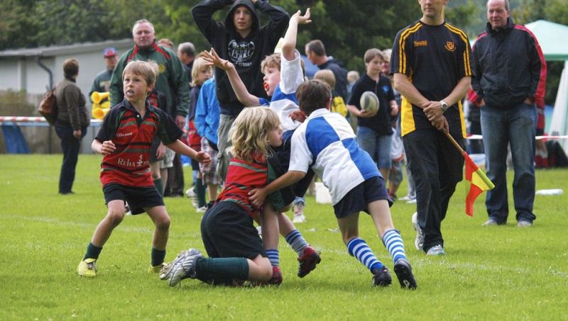 Normal DM2010 2010 06 12 18 06 28