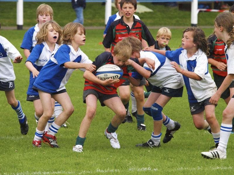 Normal DM2010 2010 06 12 18 15 29