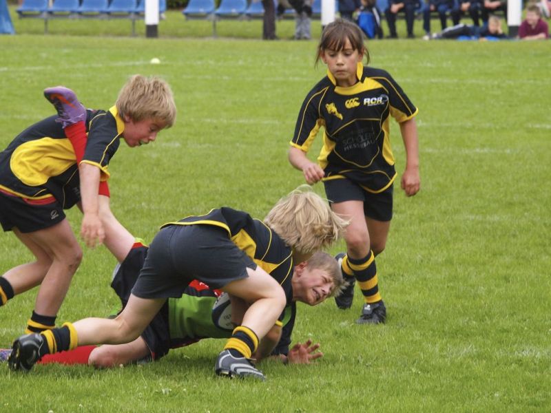 Normal DM2010 2010 06 13 10 12 03