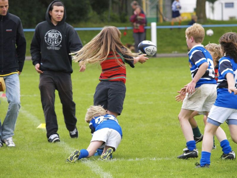 Normal DM2010 2010 06 13 10 46 09