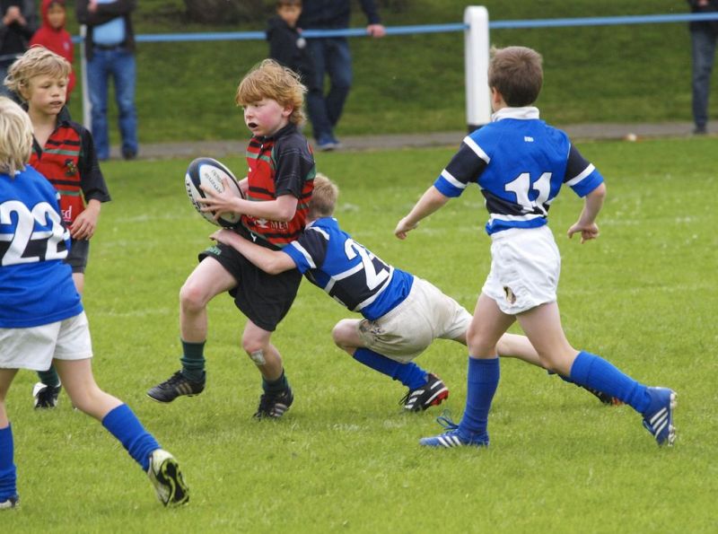 Normal DM2010 2010 06 13 10 46 22