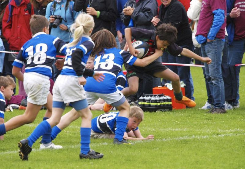 Normal DM2010 2010 06 13 10 46 43