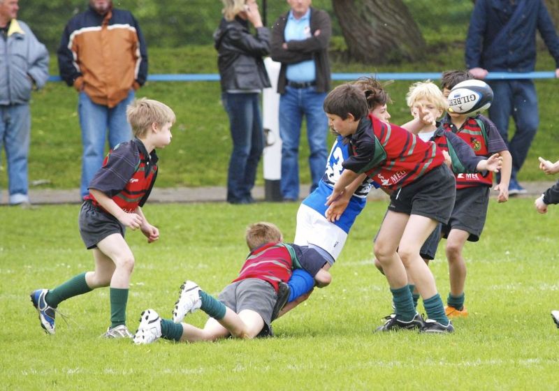 Normal DM2010 2010 06 13 10 47 41