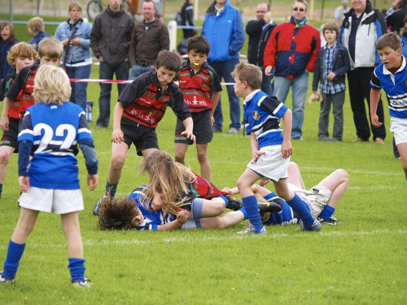 Normal DM2010 2010 06 13 10 50 20