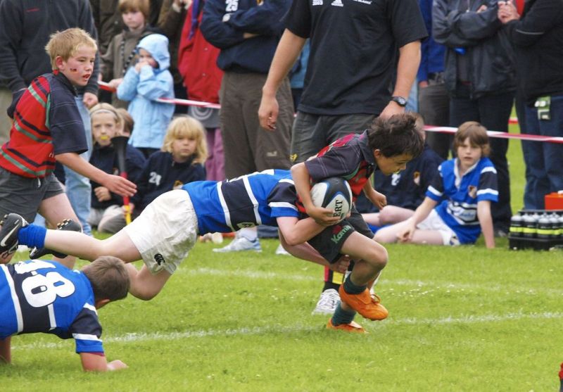 Normal DM2010 2010 06 13 10 50 24