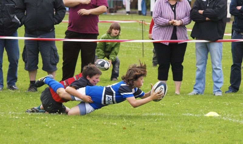 Normal DM2010 2010 06 13 10 57 45