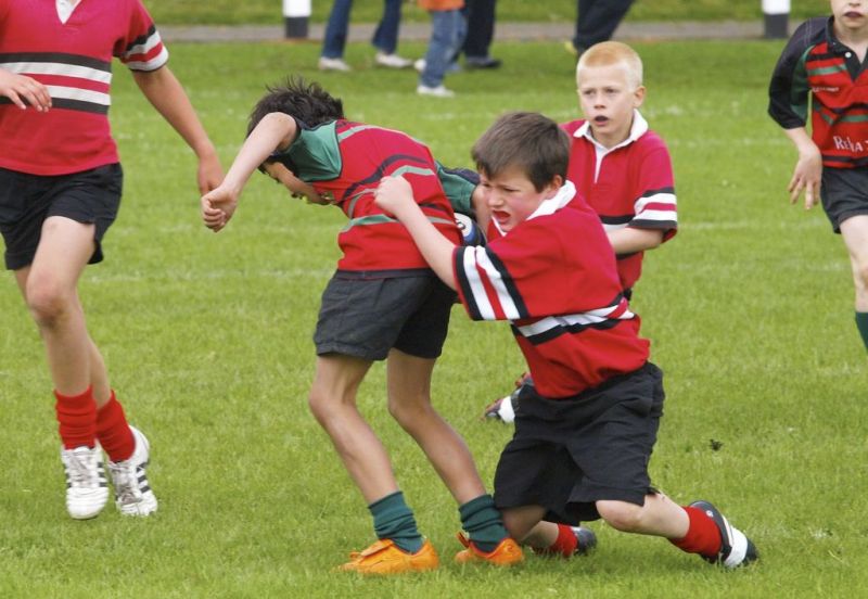 Normal DM2010 2010 06 13 12 21 17